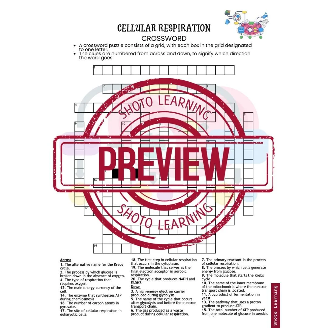 Cellular Respiration Missing Letters Worksheets 20 Key Terms