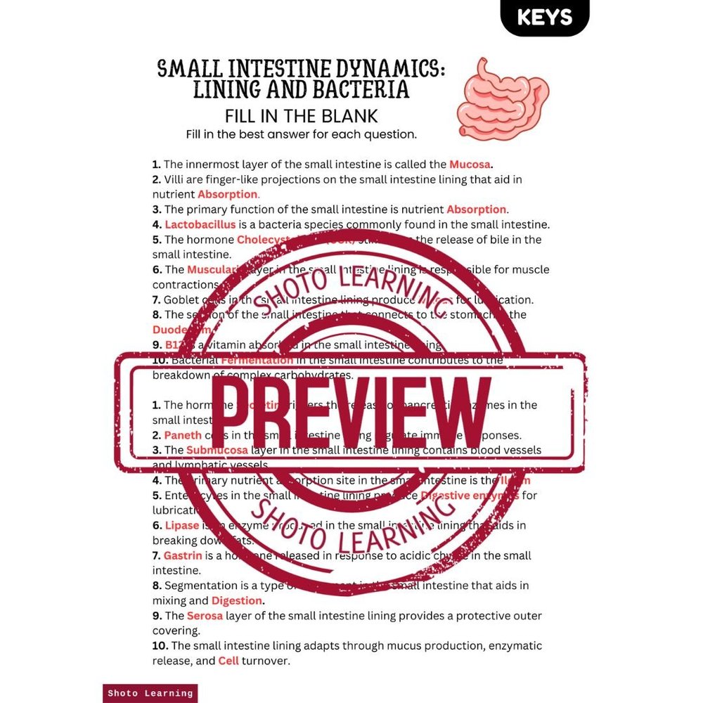 Small Intestine Word Search: Lining Bacteria Puzzle
