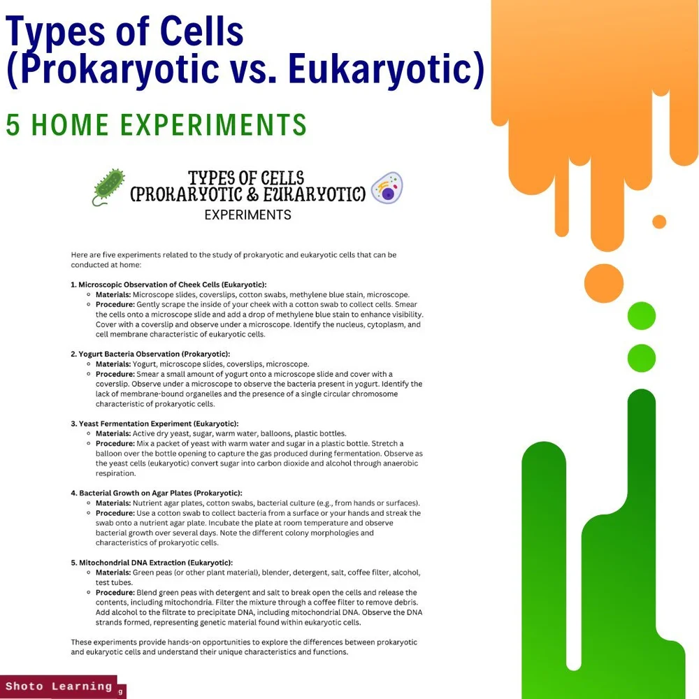 Grade 6 Cell Types – Reading & Comprehension Activity
