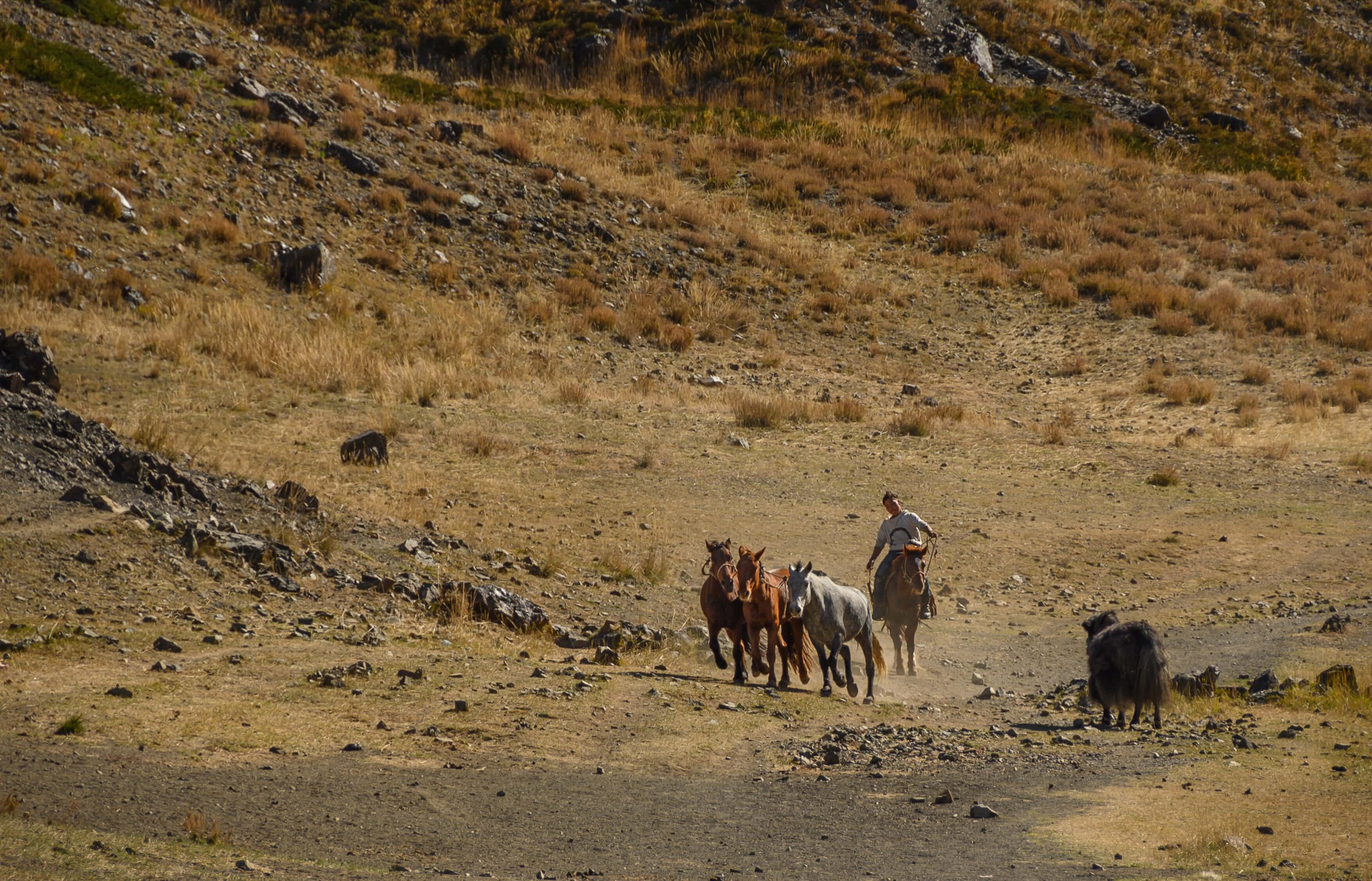 190922-MONGOLIA-193.jpg