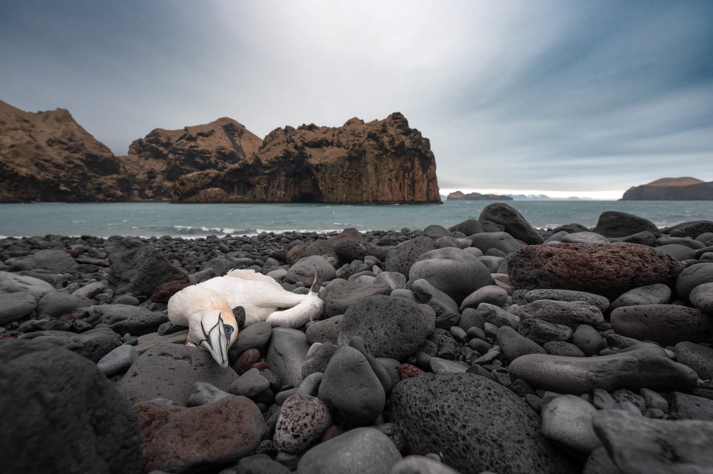 220319-ICELAND 1-94.jpg