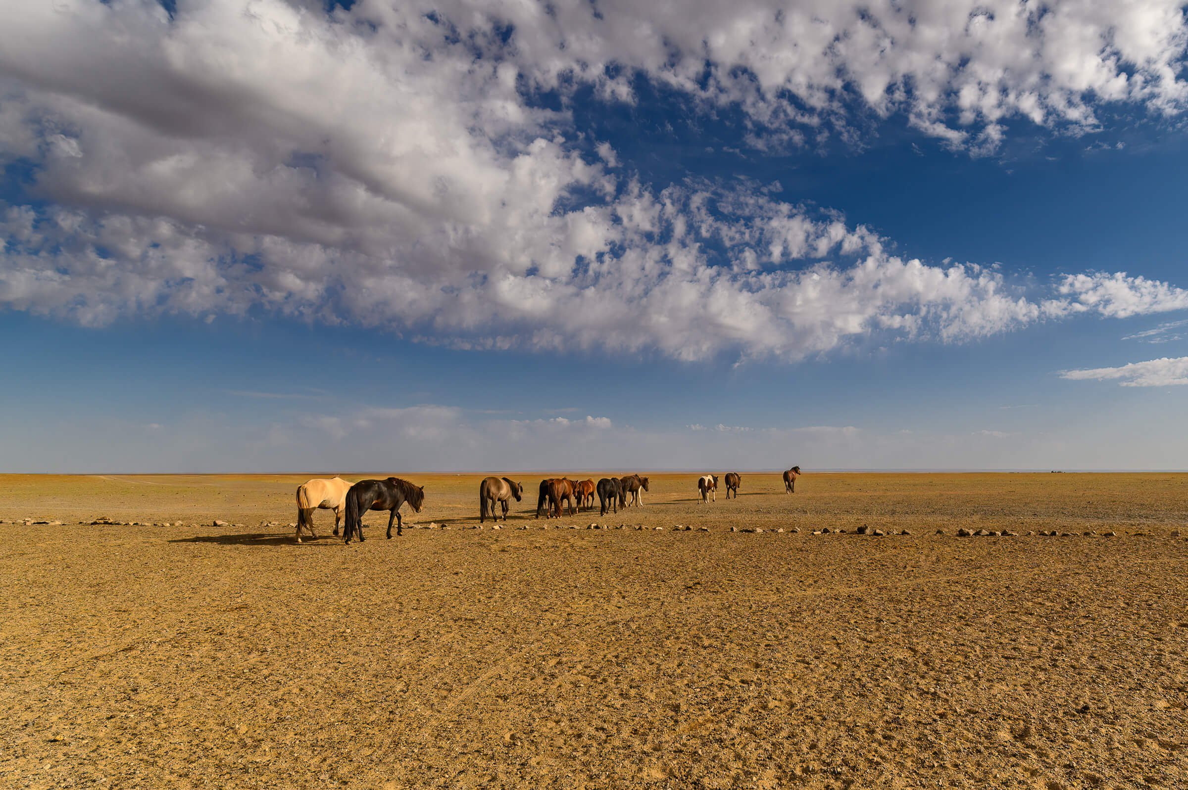 190922-MONGOLIA-2-324.jpg