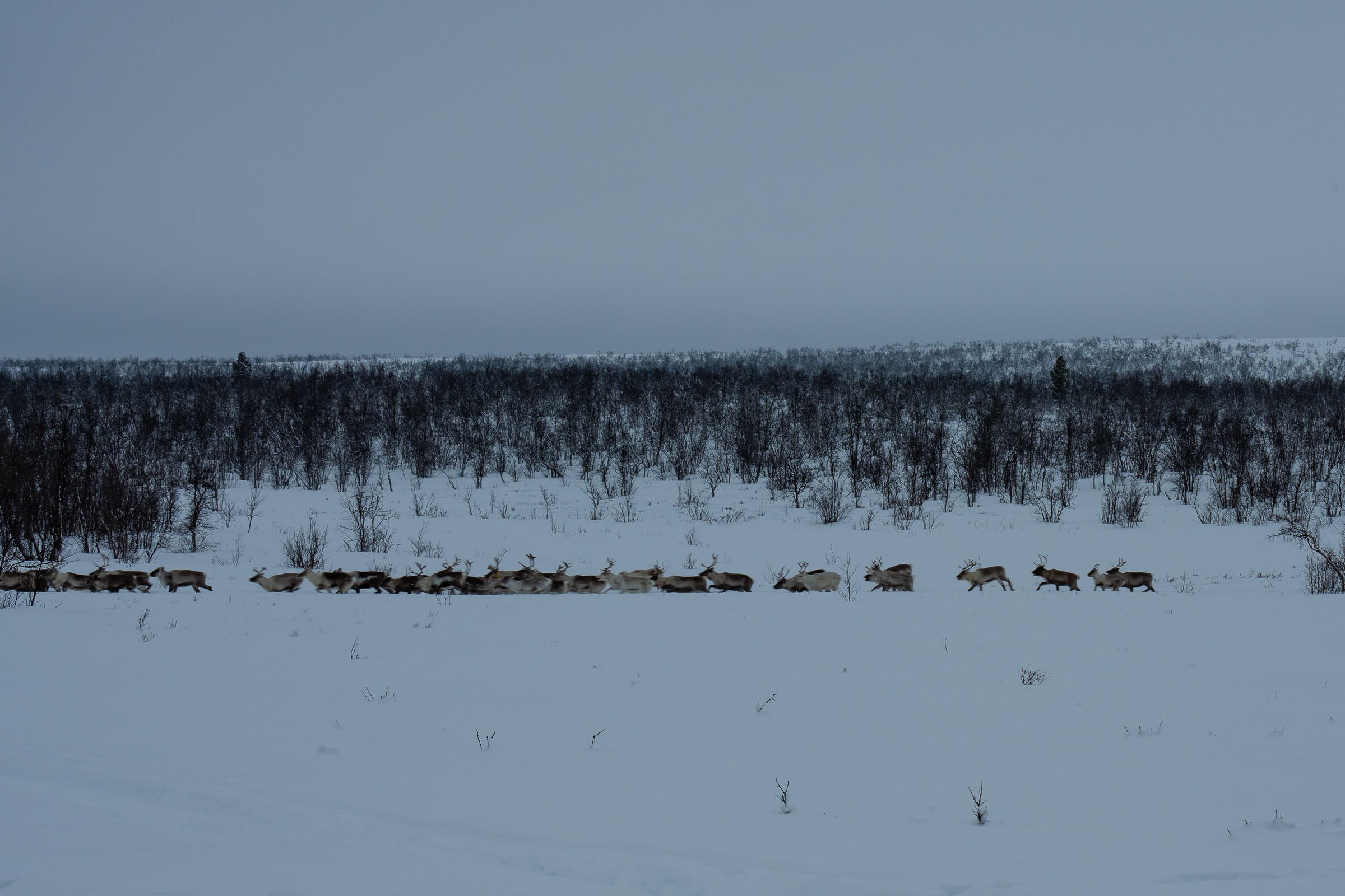 220206-KARASJOK-53.jpg
