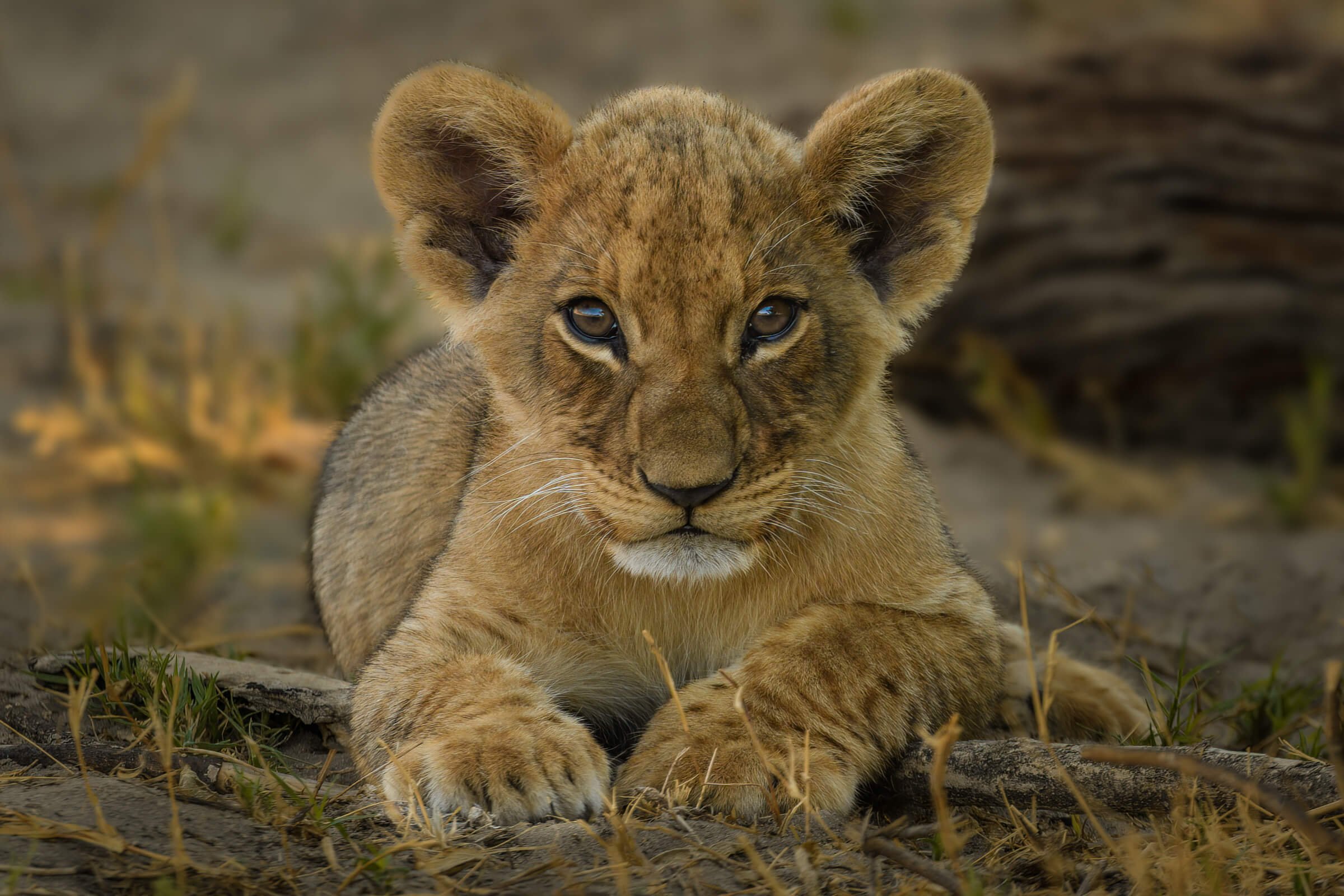 191114-BOTSWANA-968.jpg
