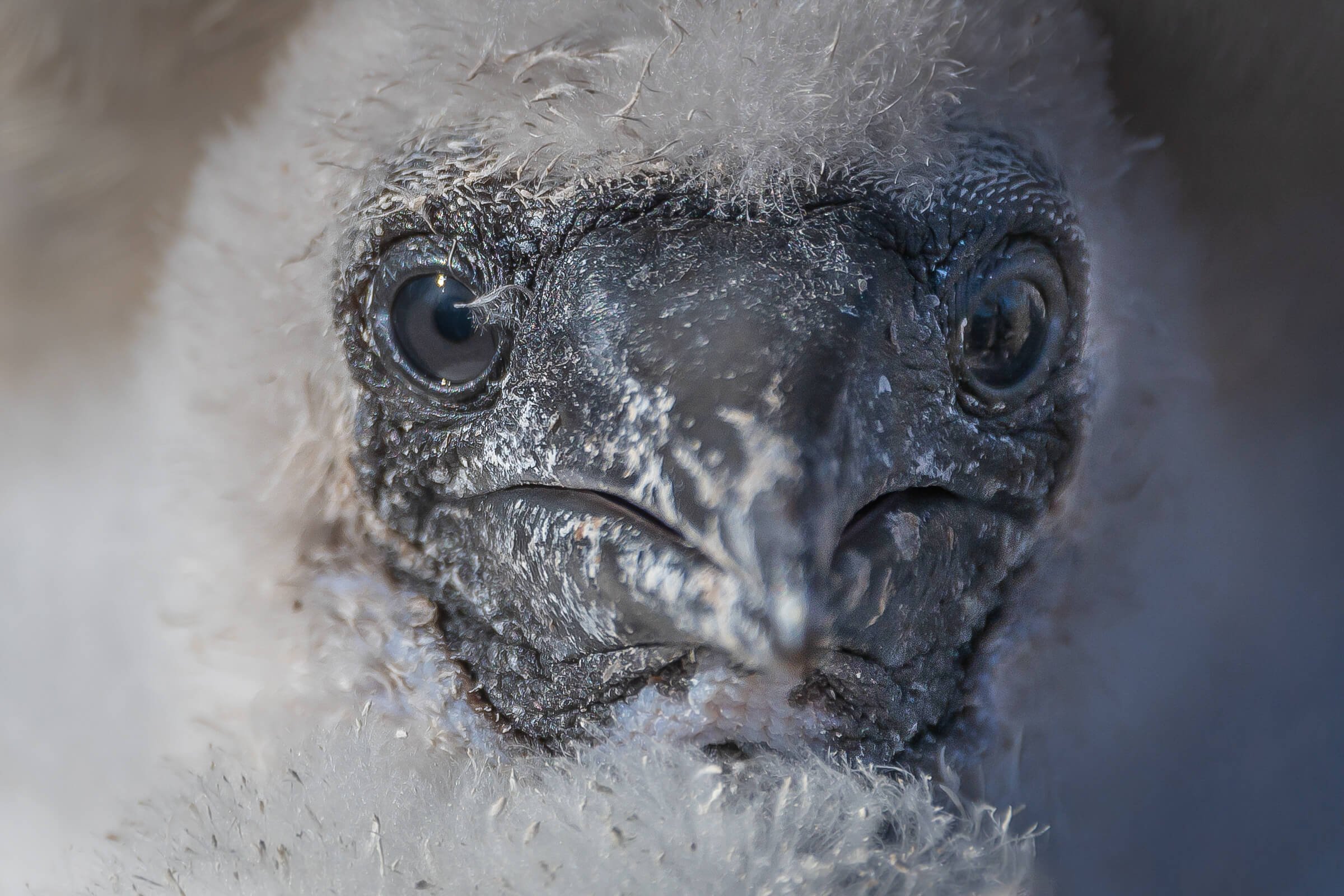 190702-GALAPAGOS-235.jpg