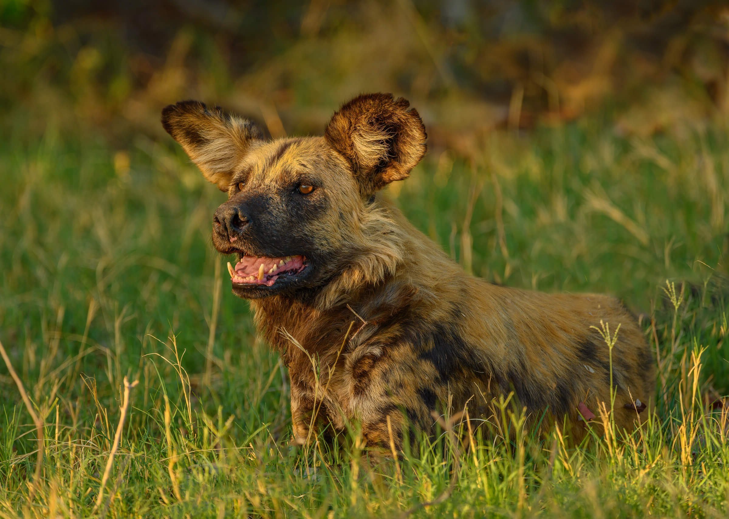 191114-BOTSWANA-353.jpg