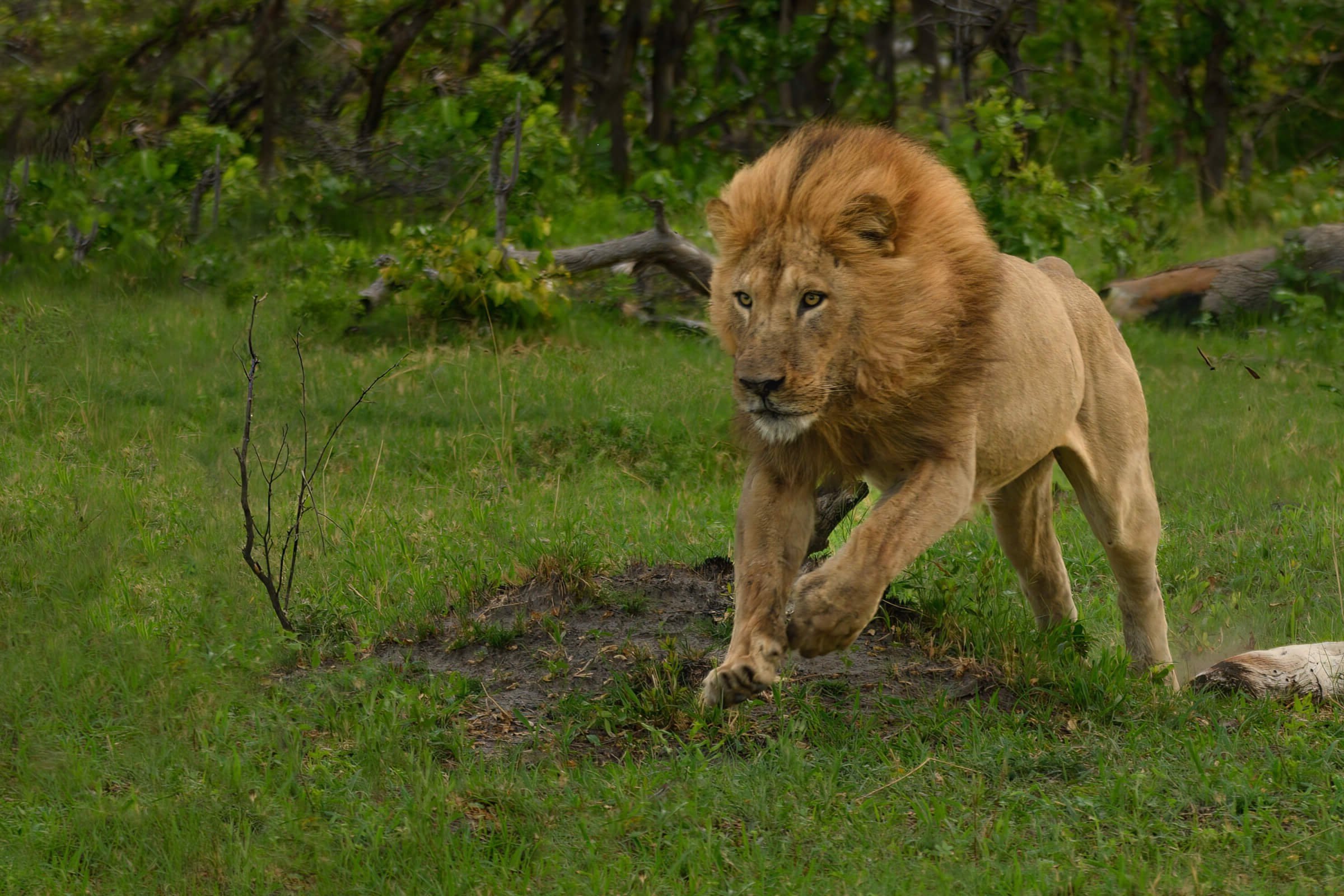 191114-BOTSWANA-272.jpg