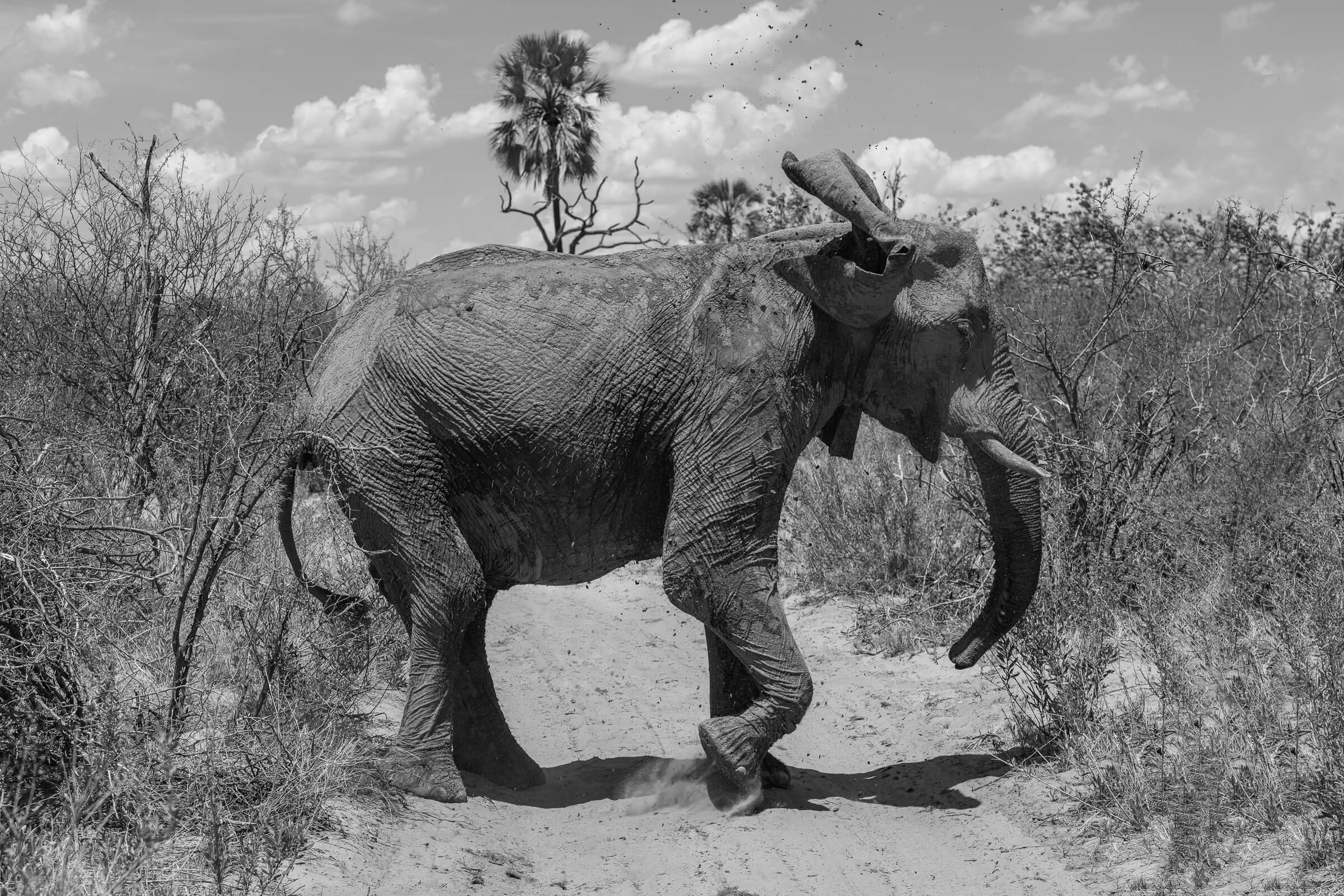 191114-BOTSWANA-10.jpg