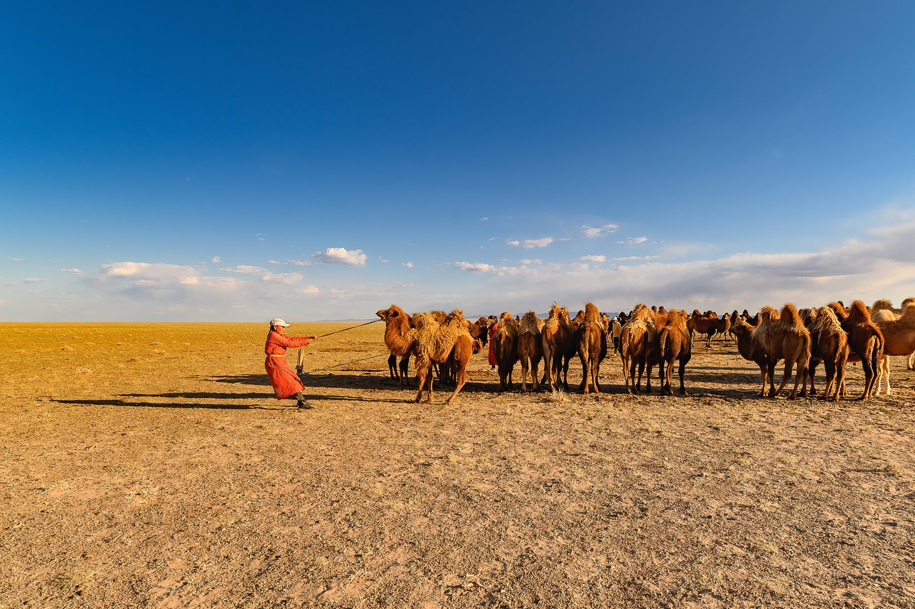 190922-MONGOLIA-2-410.jpg