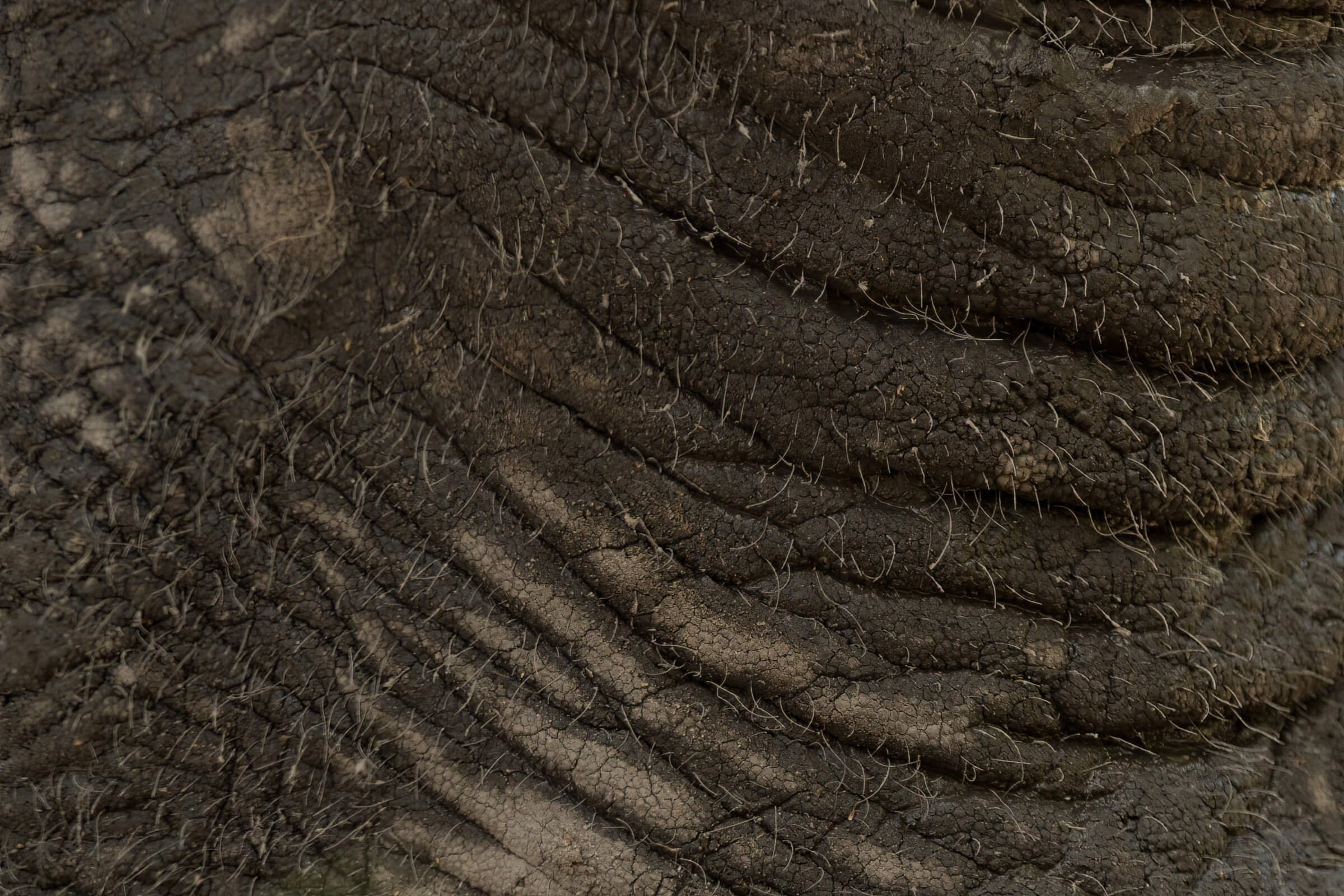 191114-BOTSWANA-493.jpg