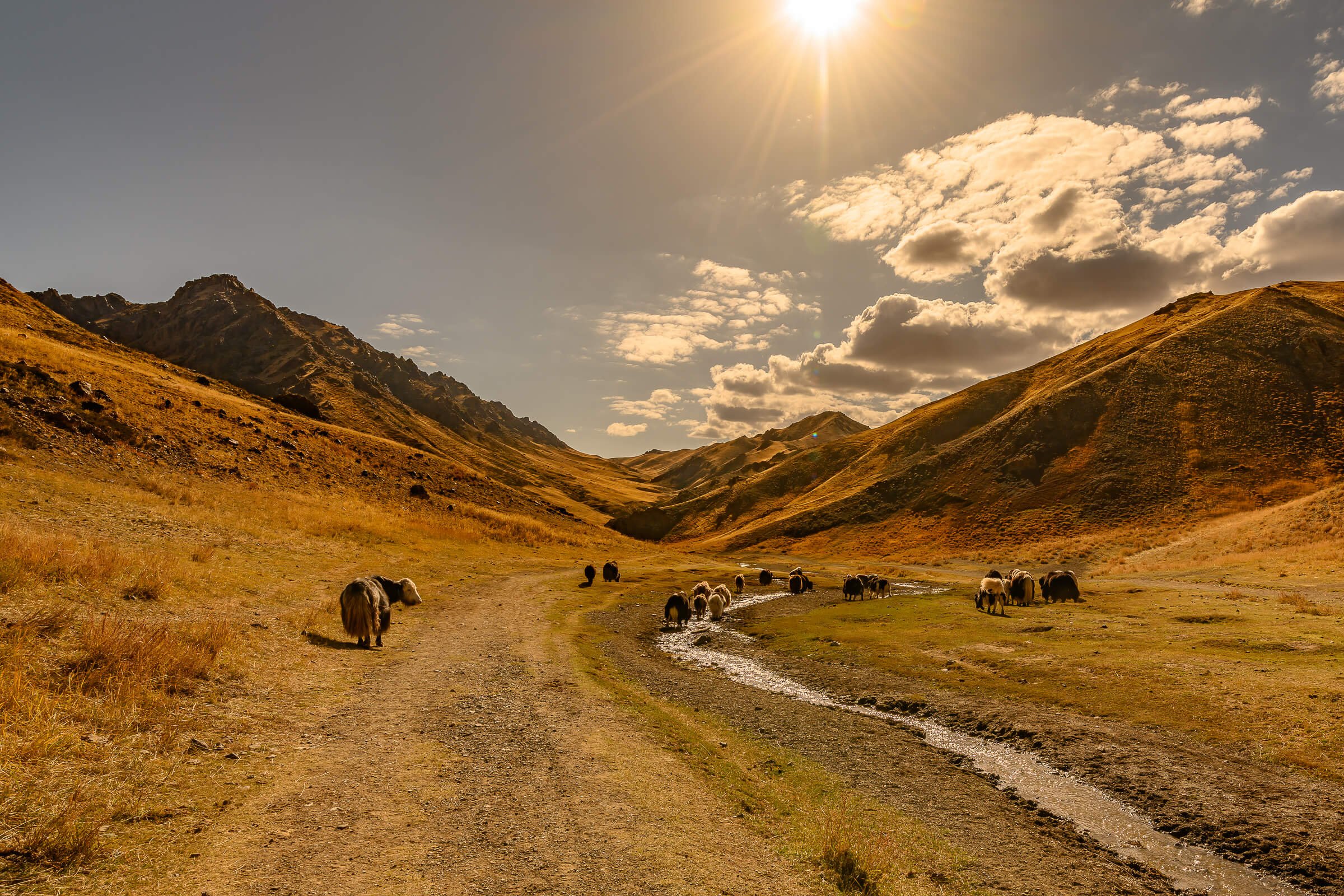 190922-MONGOLIA-2-179.jpg
