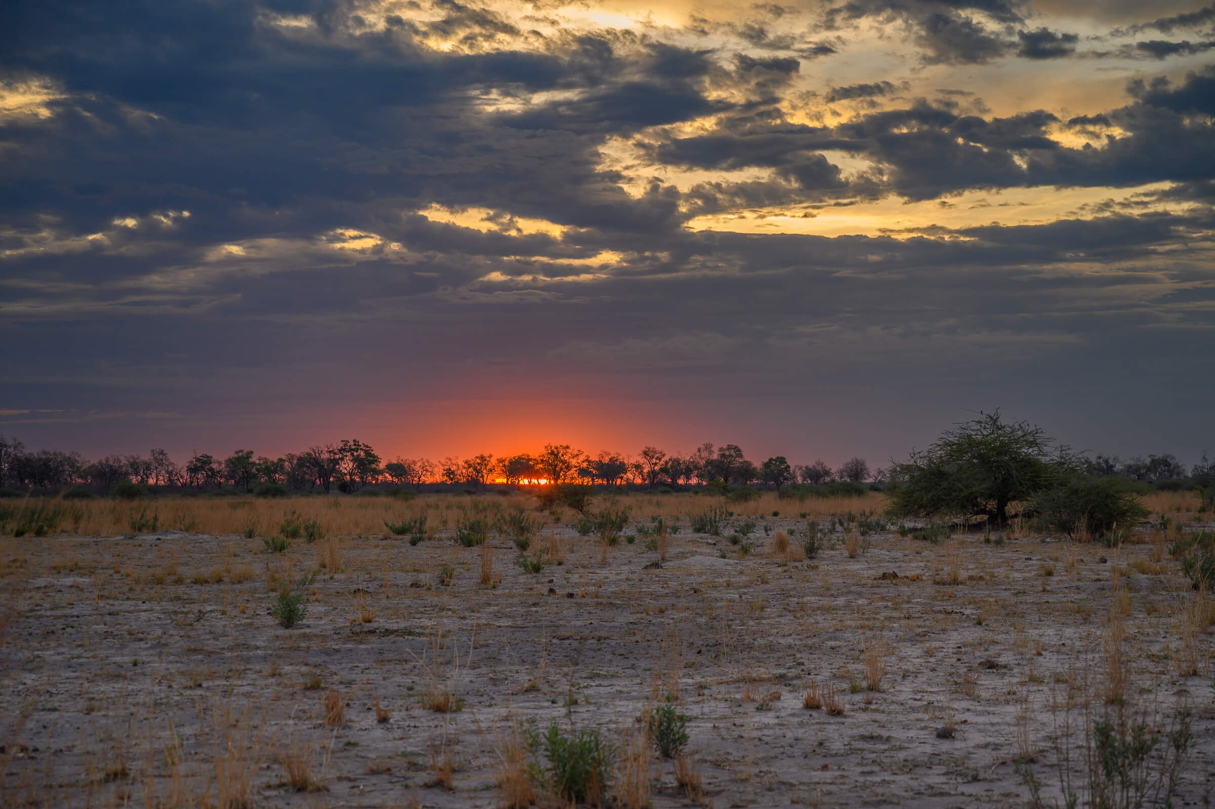 191115-BOTSWANA 2-63.jpg