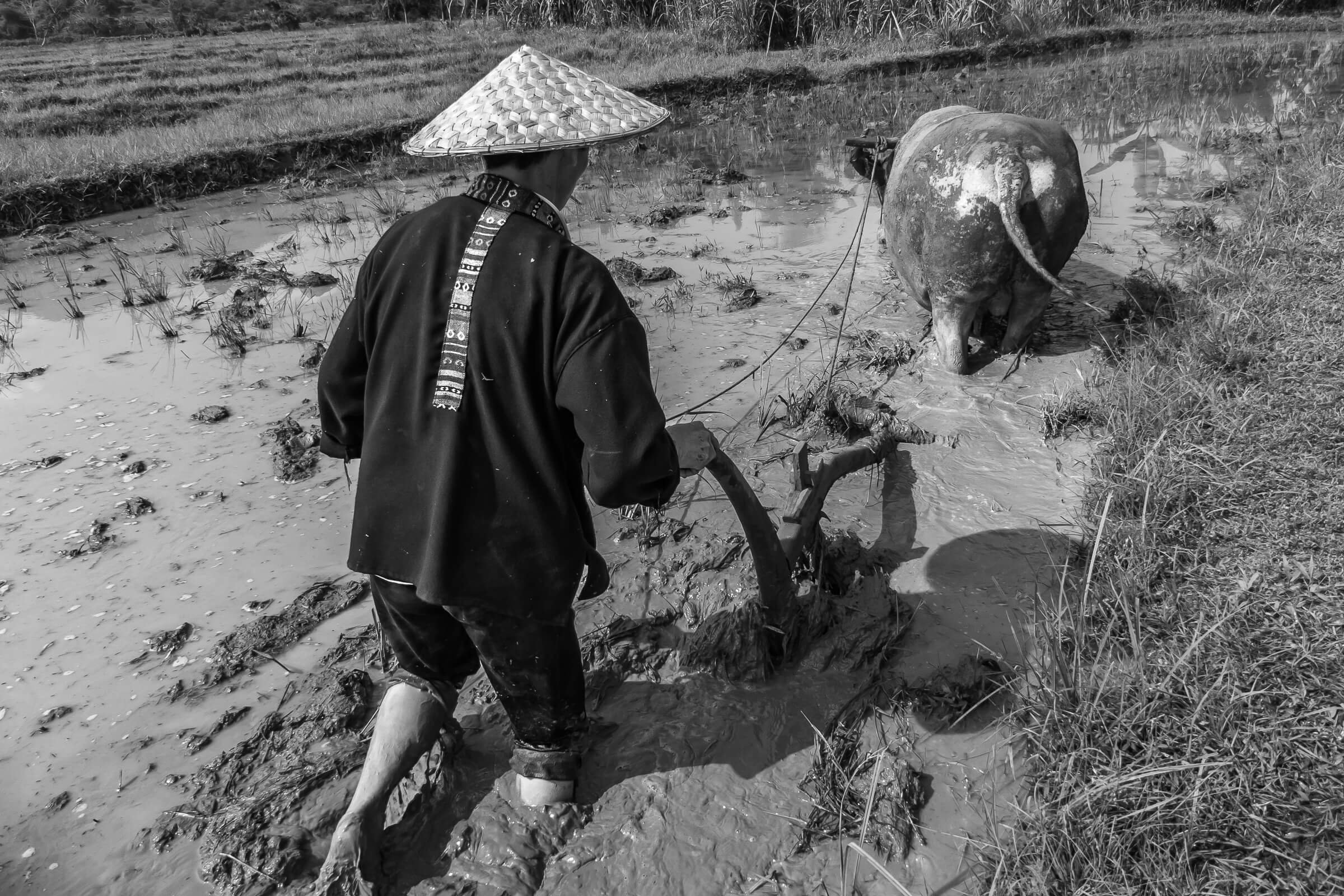 04.27 Luang Prabang-Laos 3-22.jpg