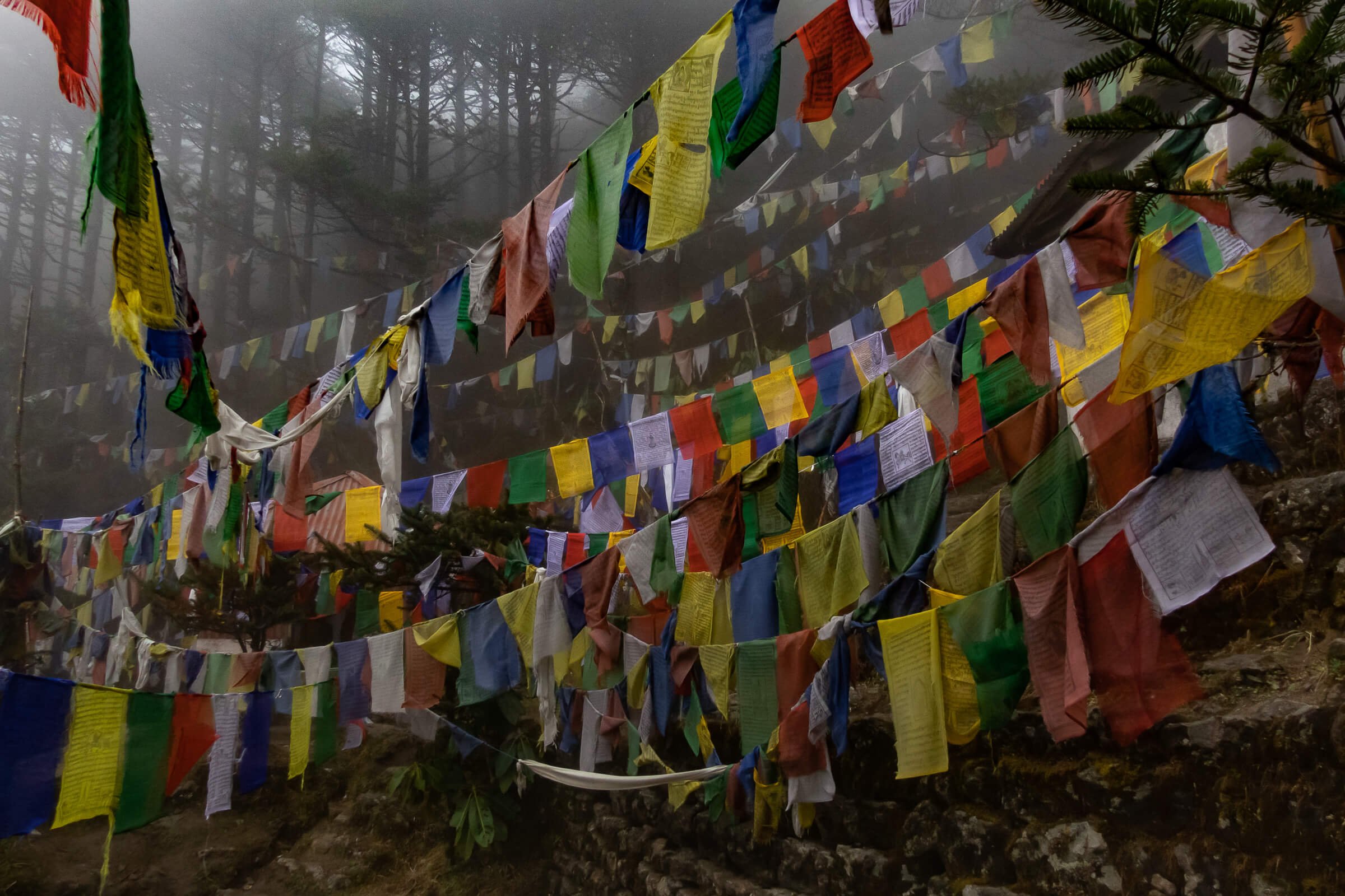 04.15 Nepal Himalaya 7-37.jpg