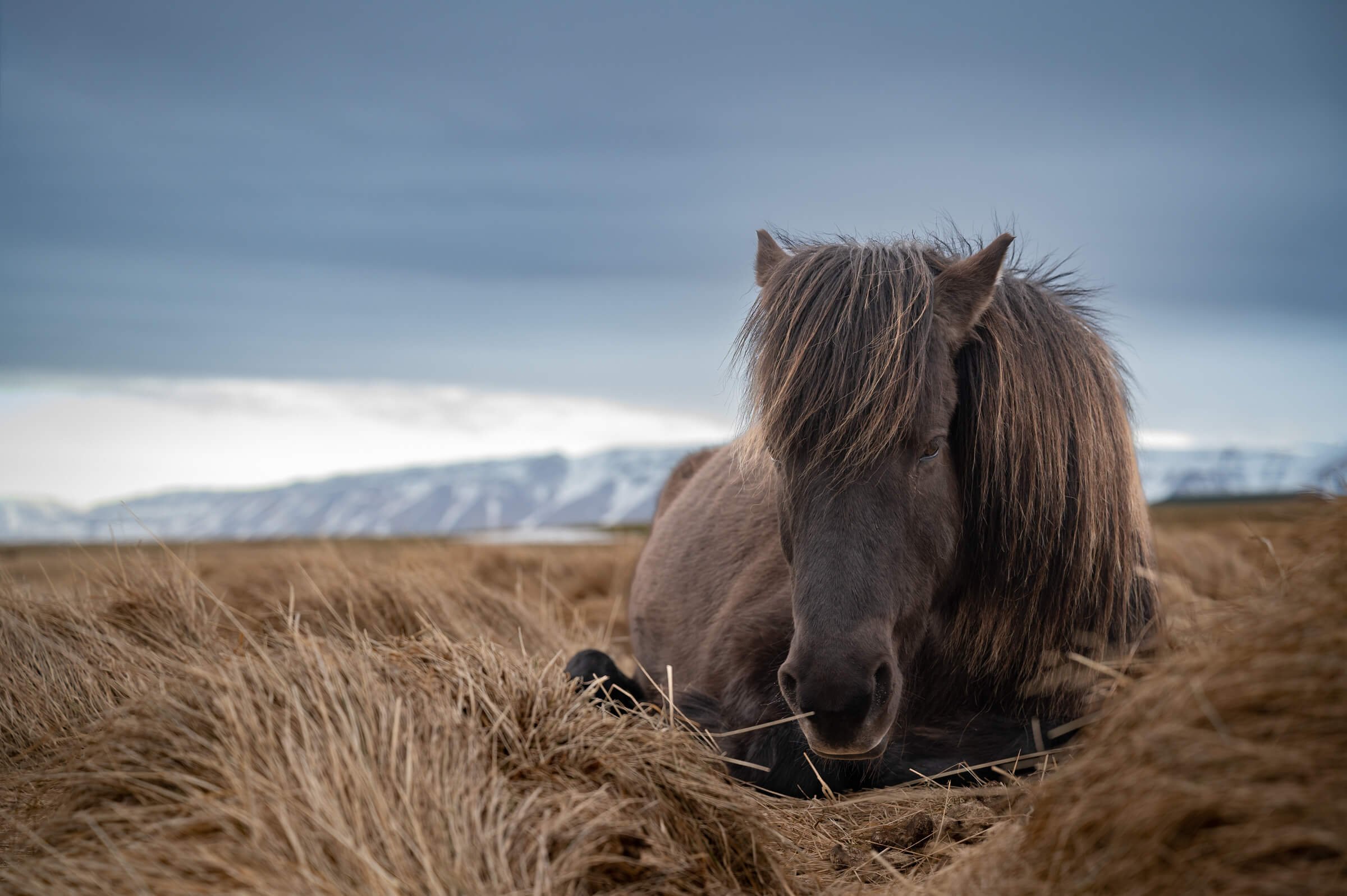 220329-ICELAND 4-99.jpg