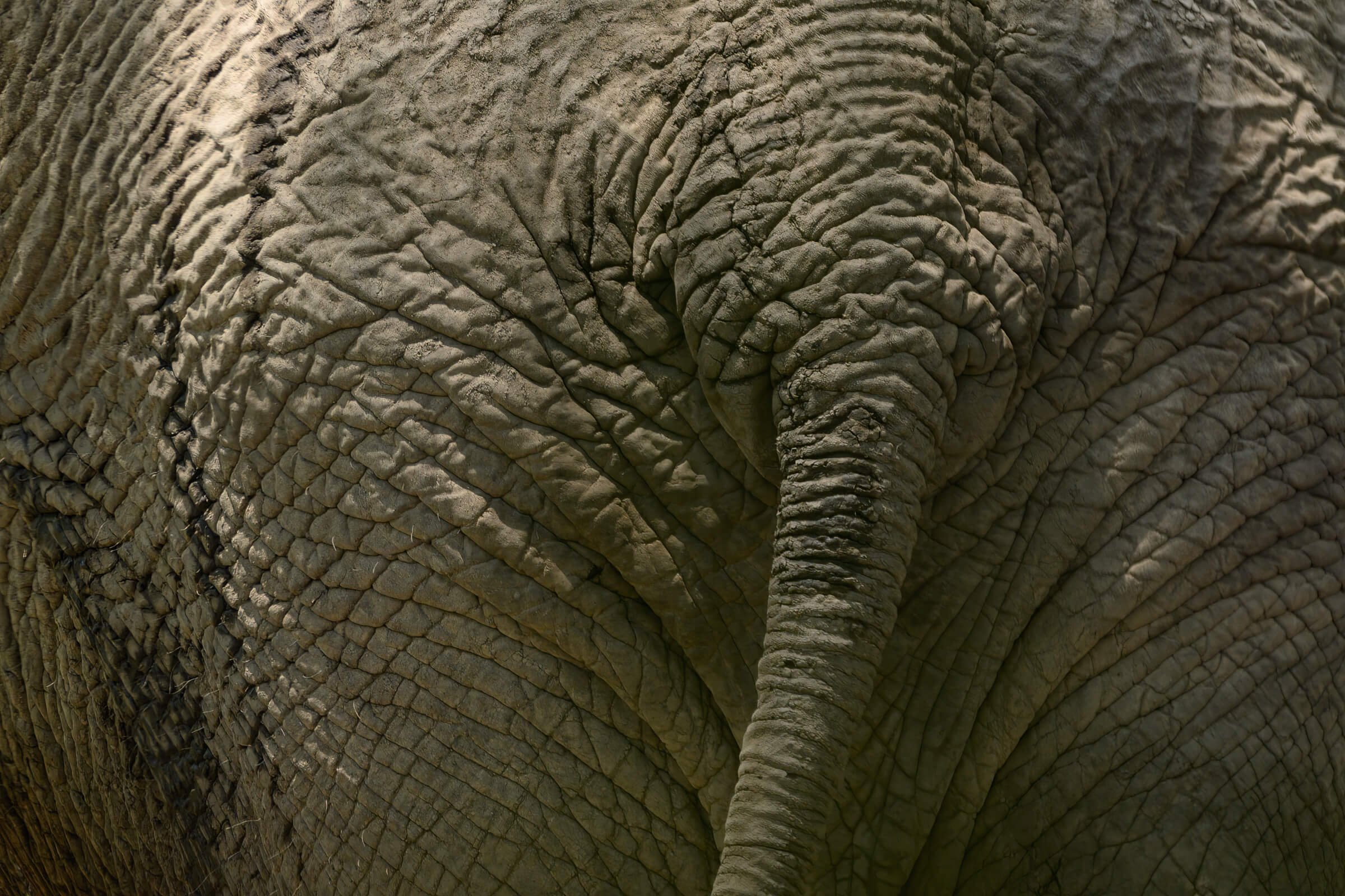191114-BOTSWANA-504.jpg