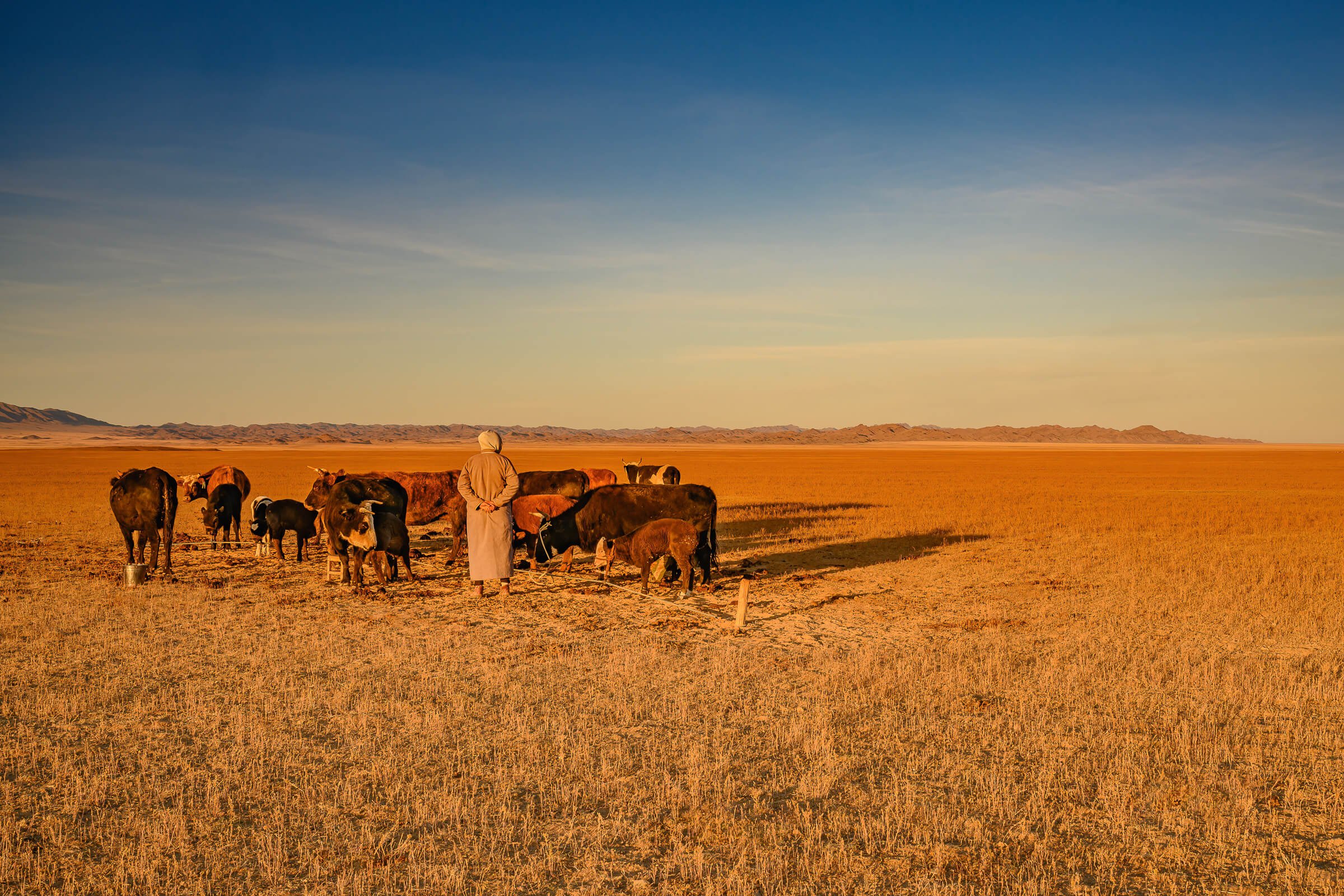 190922-MONGOLIA-2-434.jpg