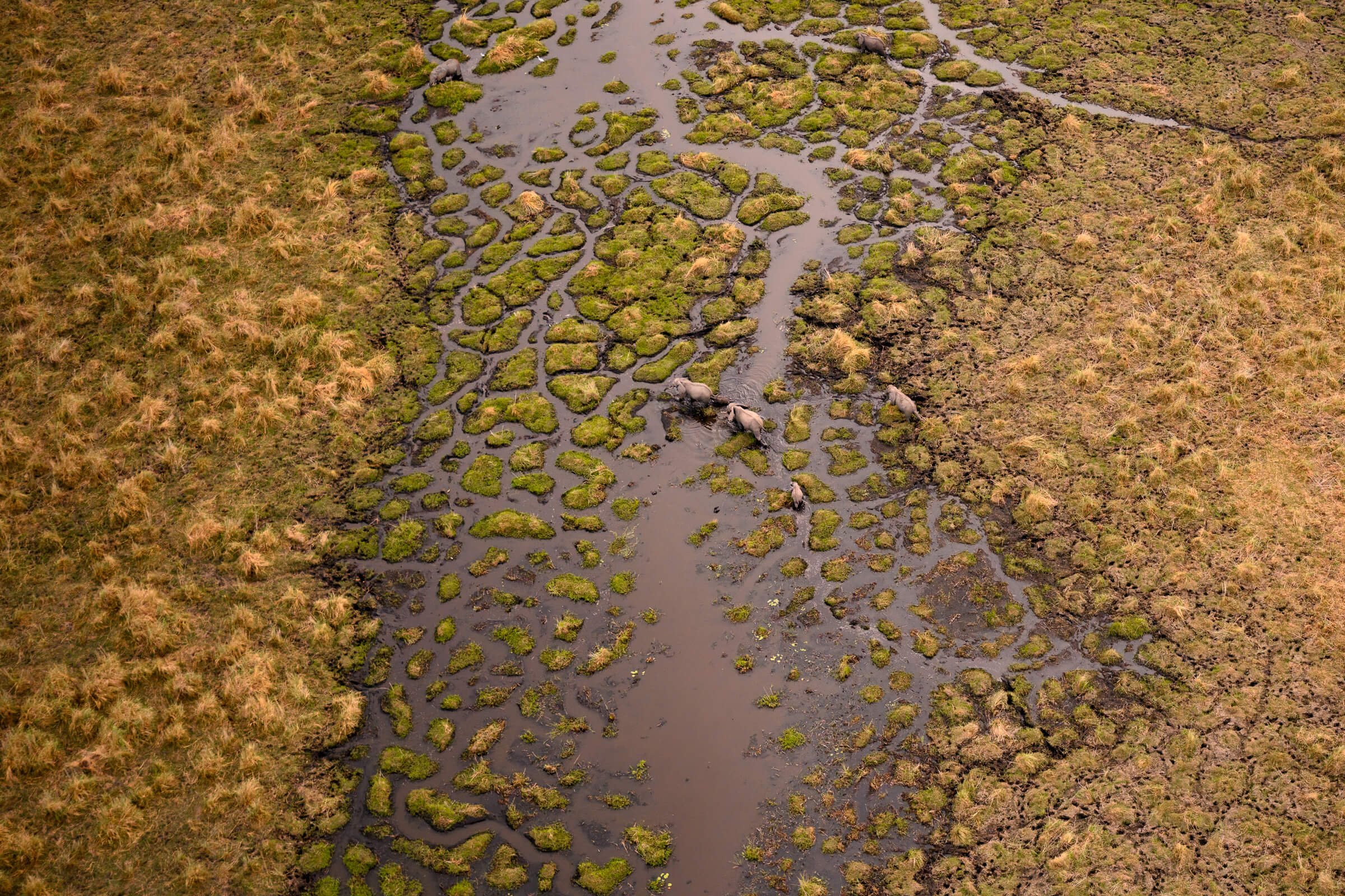 191114-BOTSWANA-741.jpg