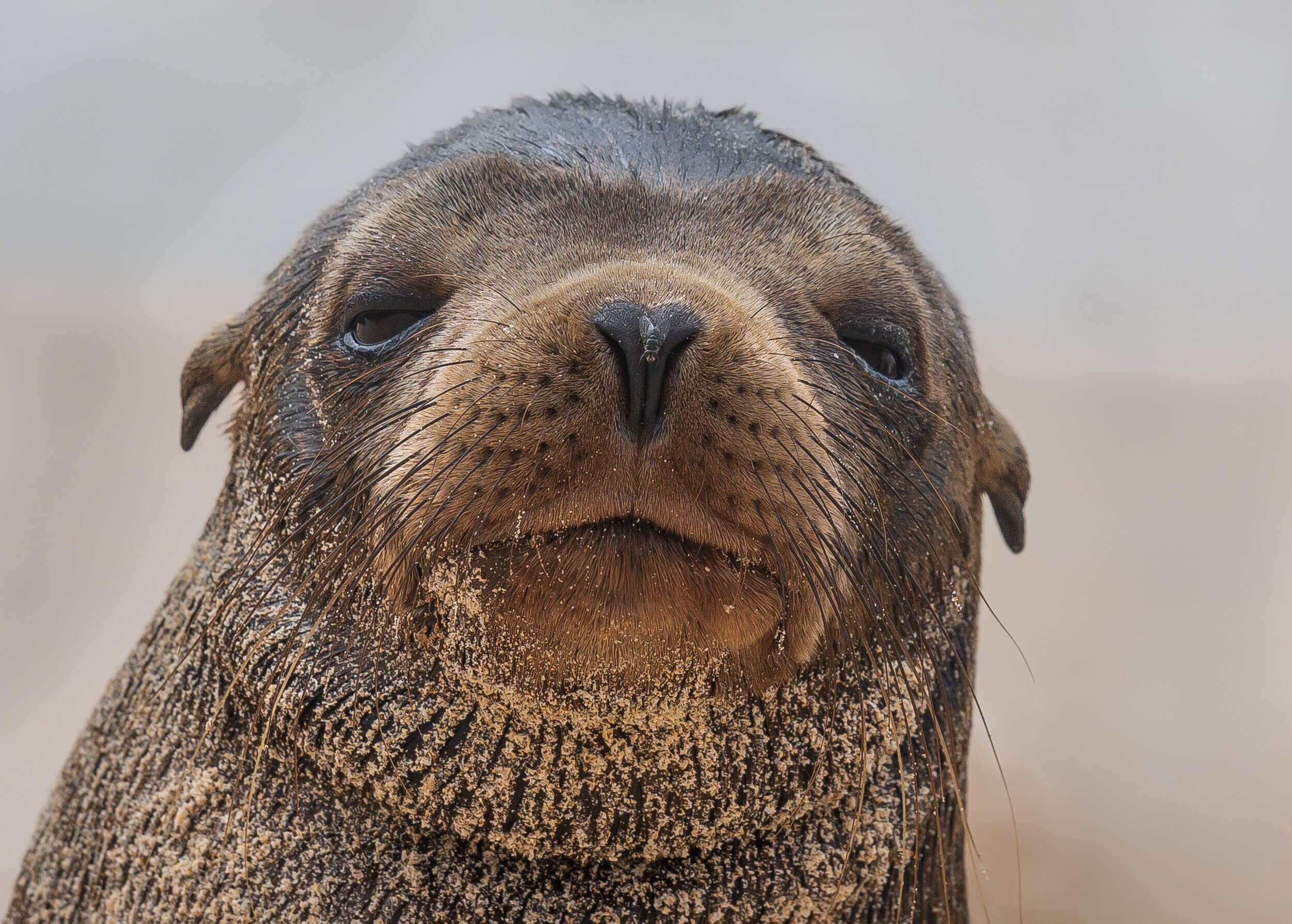 190702-GALAPAGOS-638.jpeg