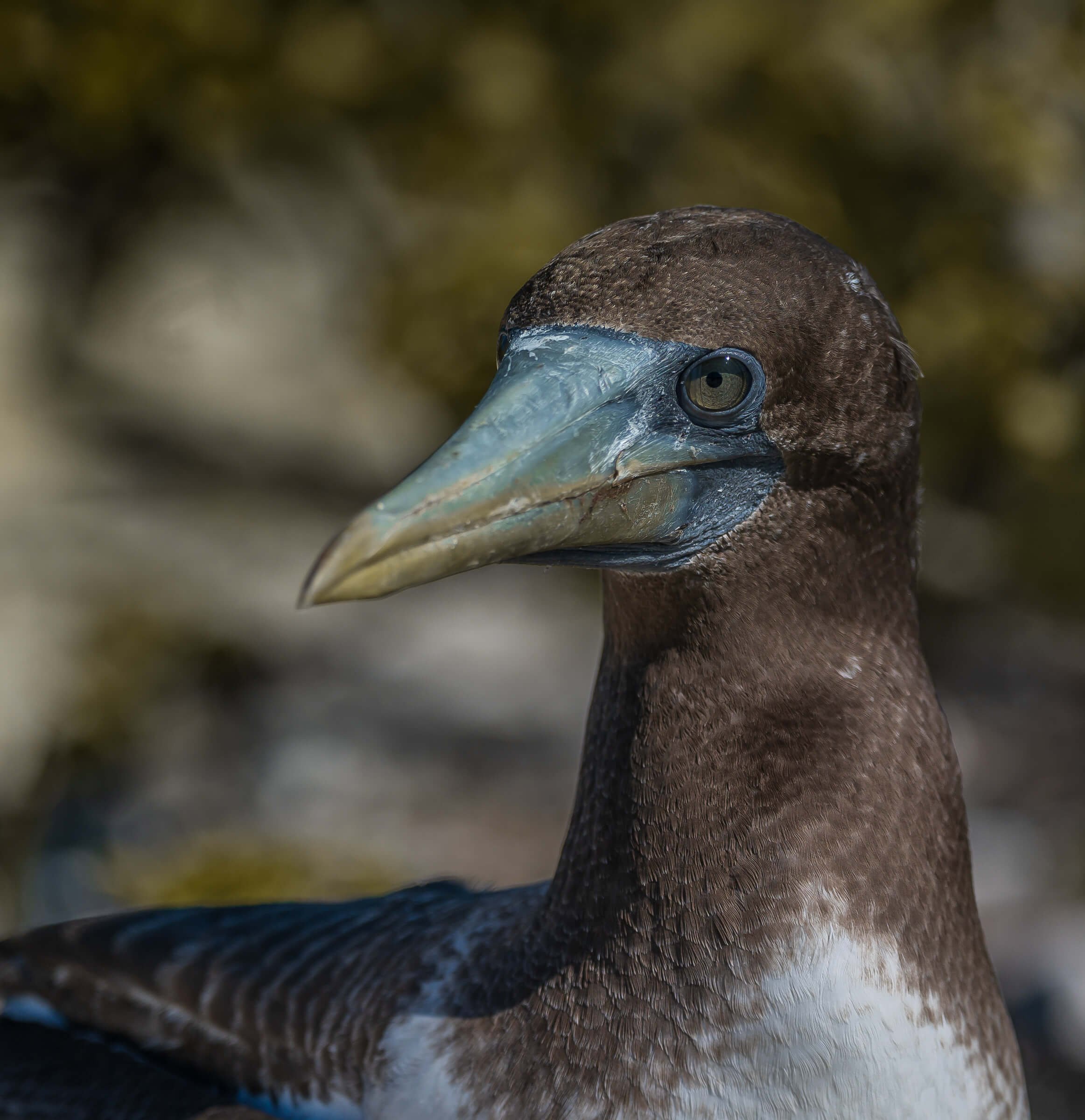 190702-GALAPAGOS-189.jpg