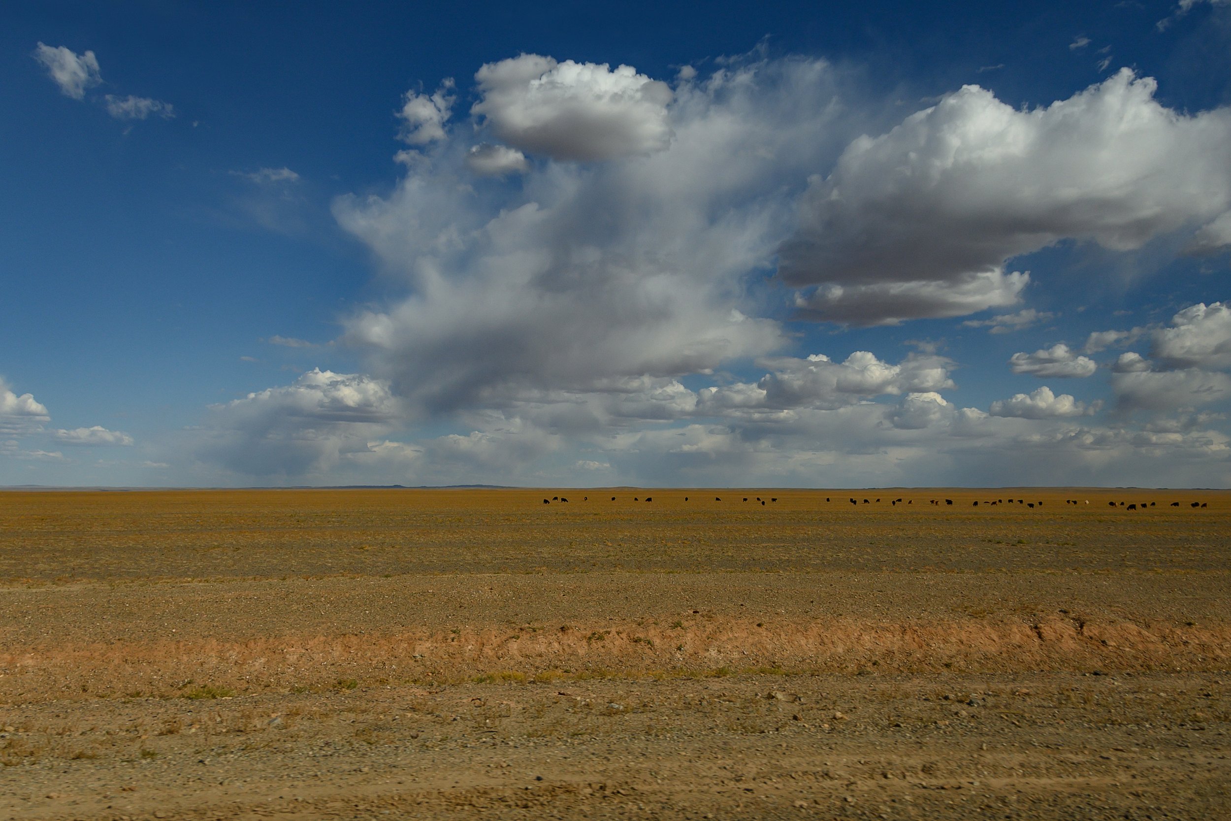 190922-MONGOLIA-2-165.jpg