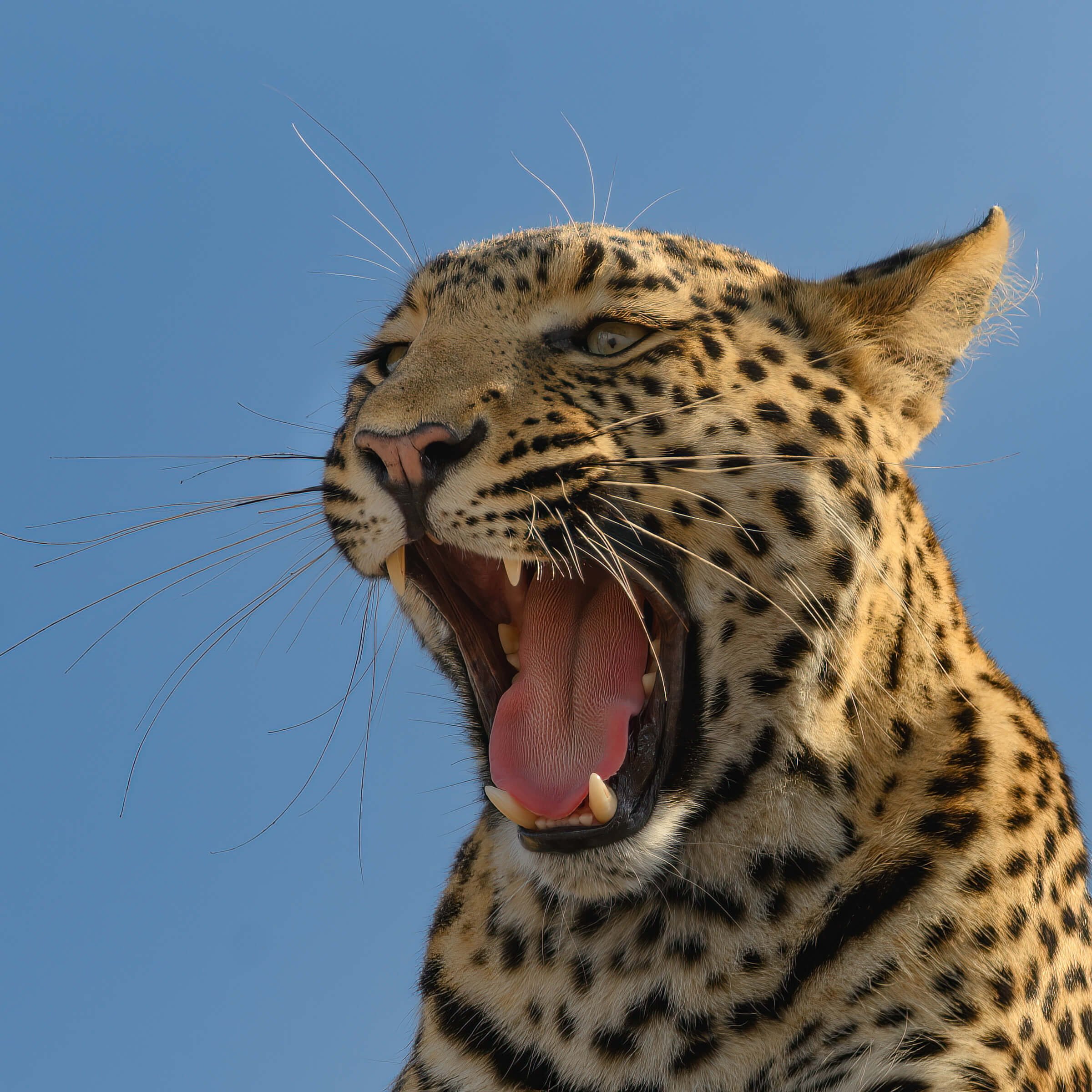 191114-BOTSWANA-138.jpg