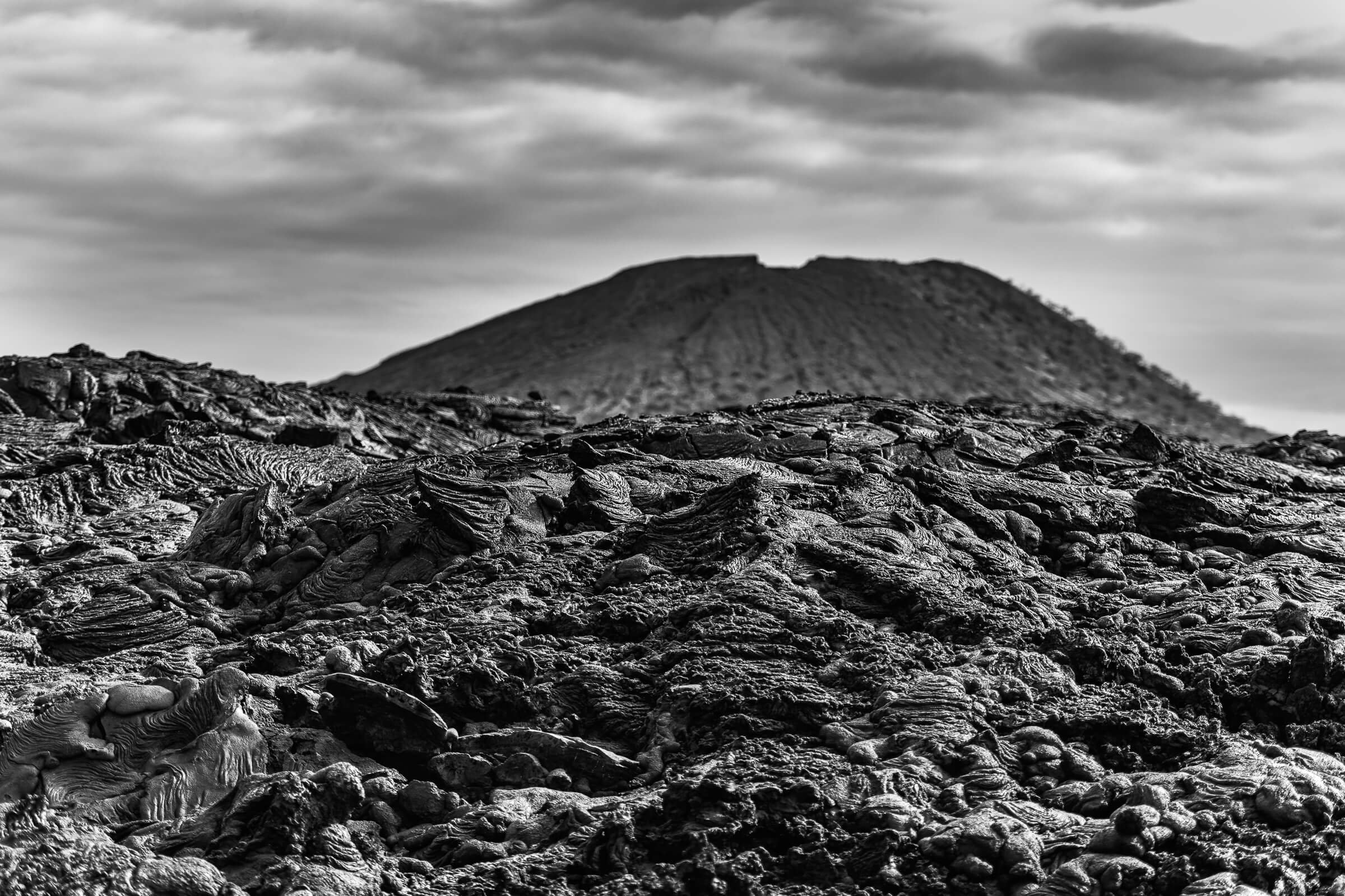 190702-GALAPAGOS-476.jpg