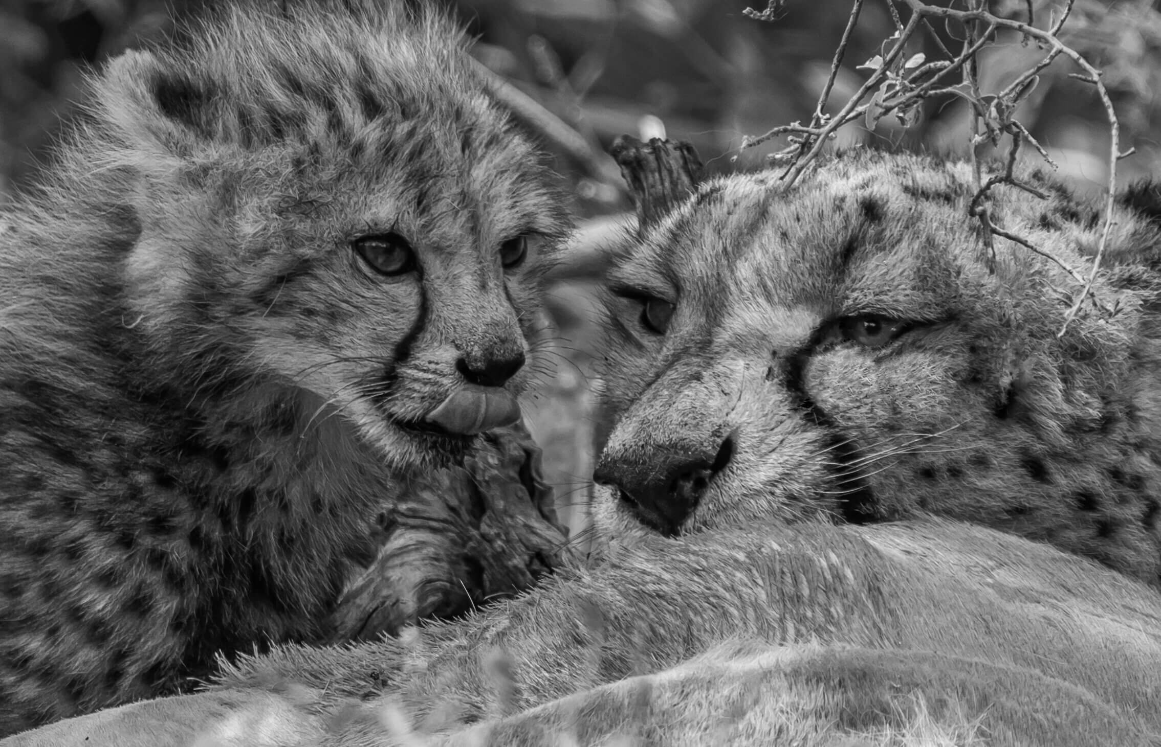 191114-BOTSWANA-290.jpeg