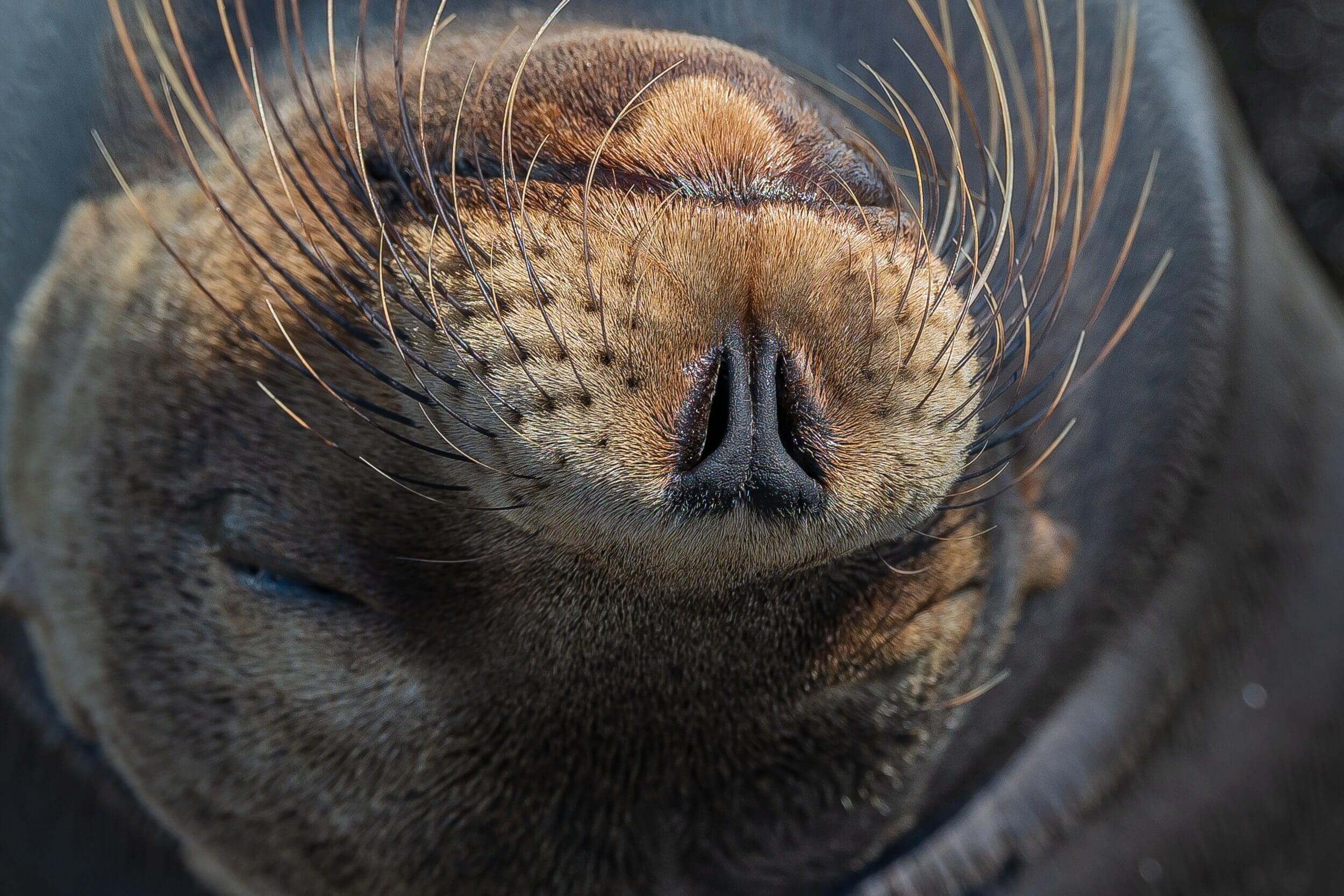 190702-GALAPAGOS-740.jpeg