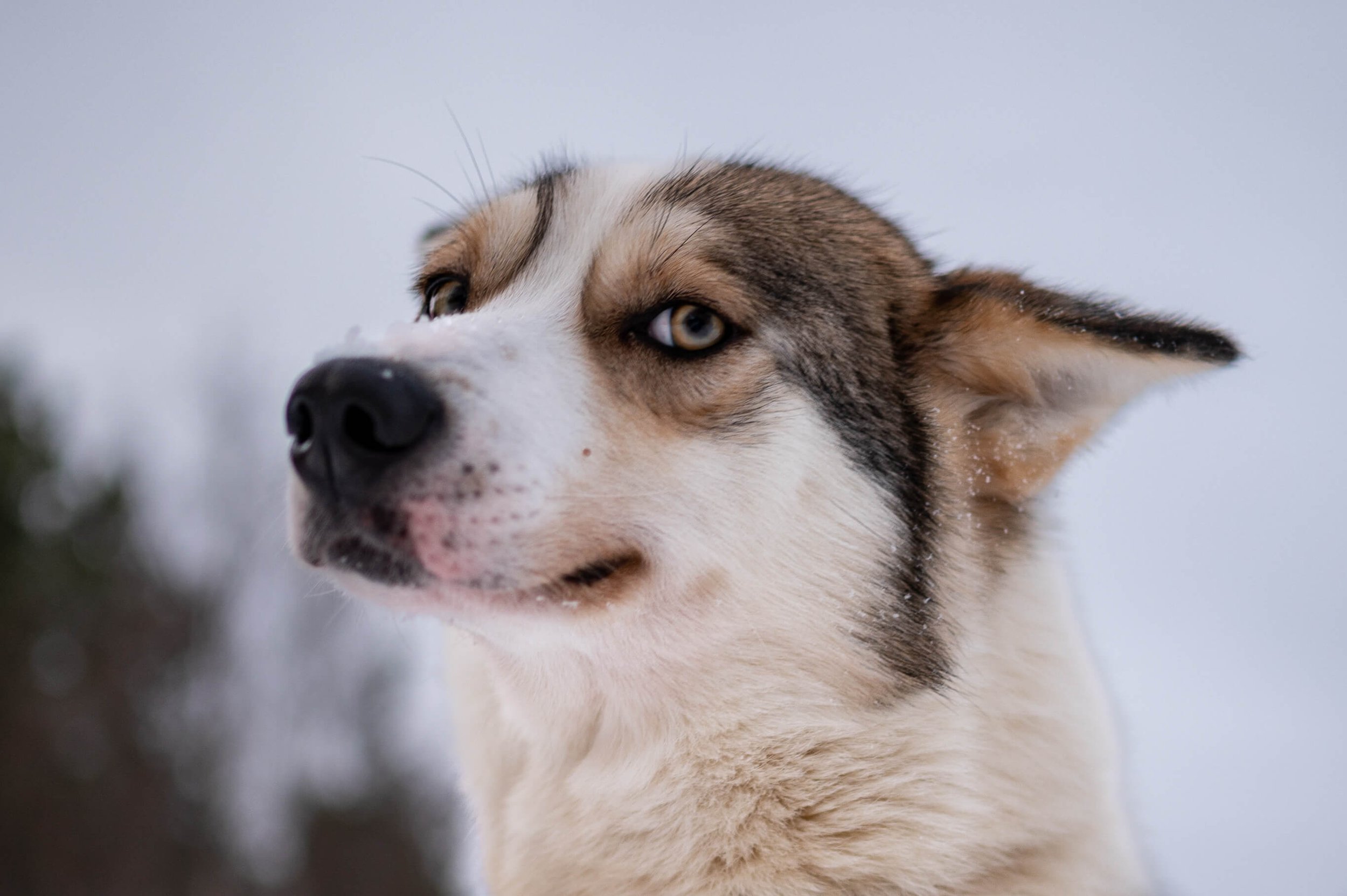 220206-KARASJOK-134.jpg