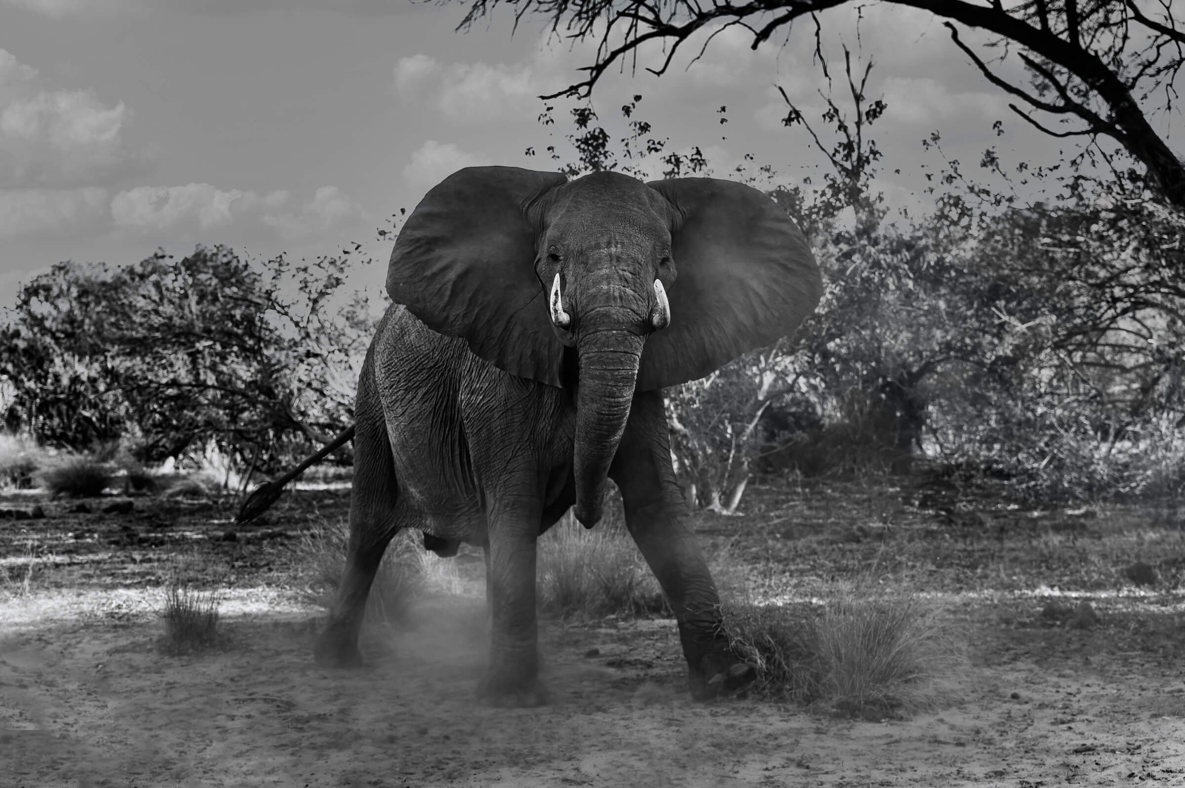 191114-BOTSWANA-91.jpg