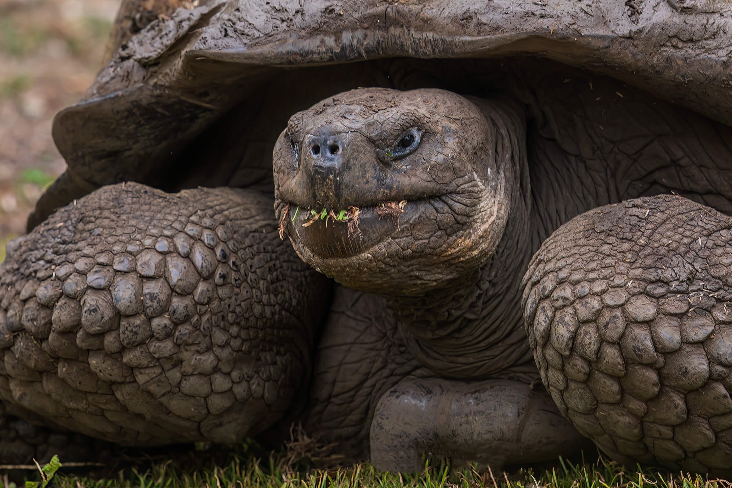 190702-GALAPAGOS-447.jpg