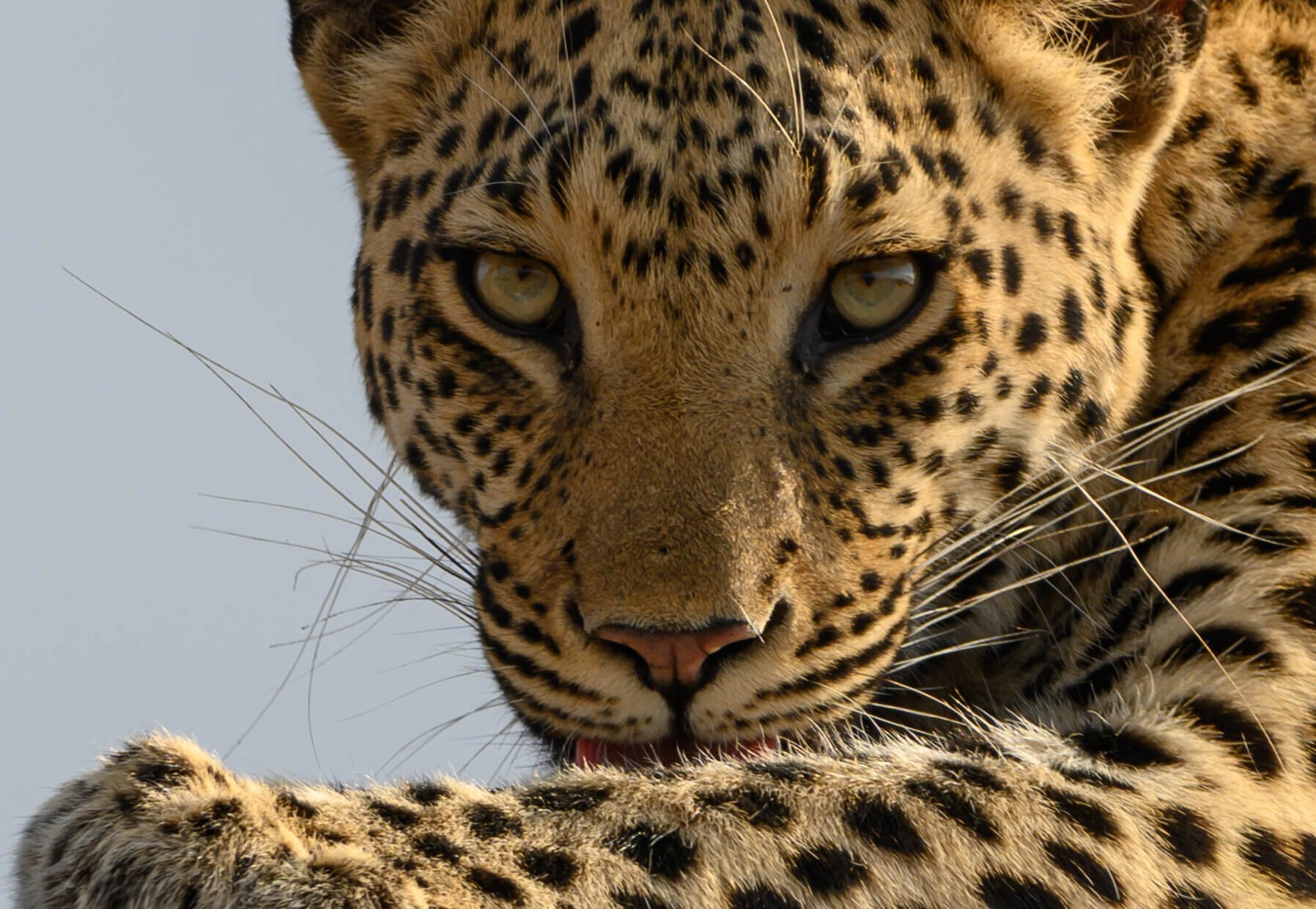 191114-BOTSWANA-145.jpeg