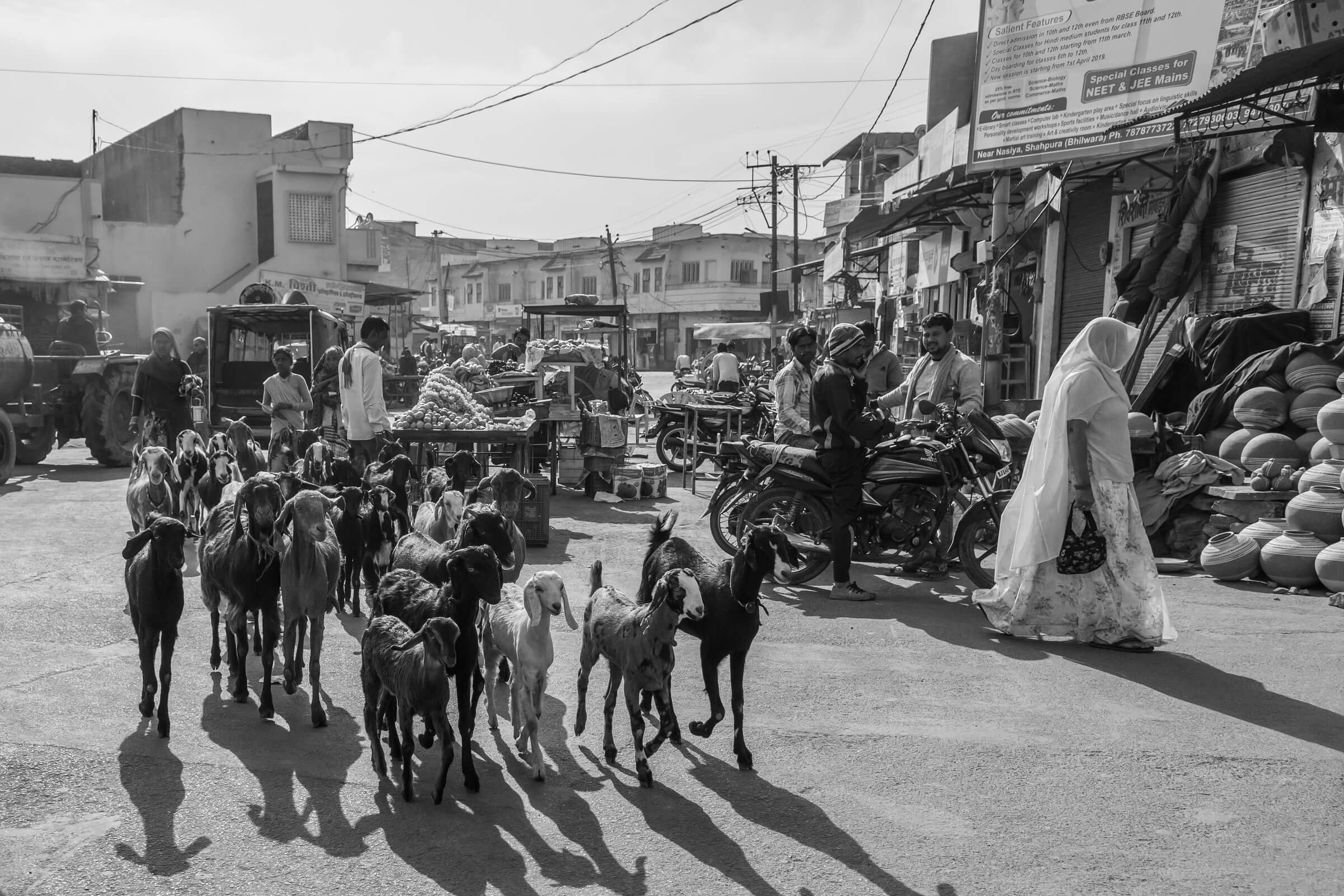 190318-JAIPUR-19.jpg