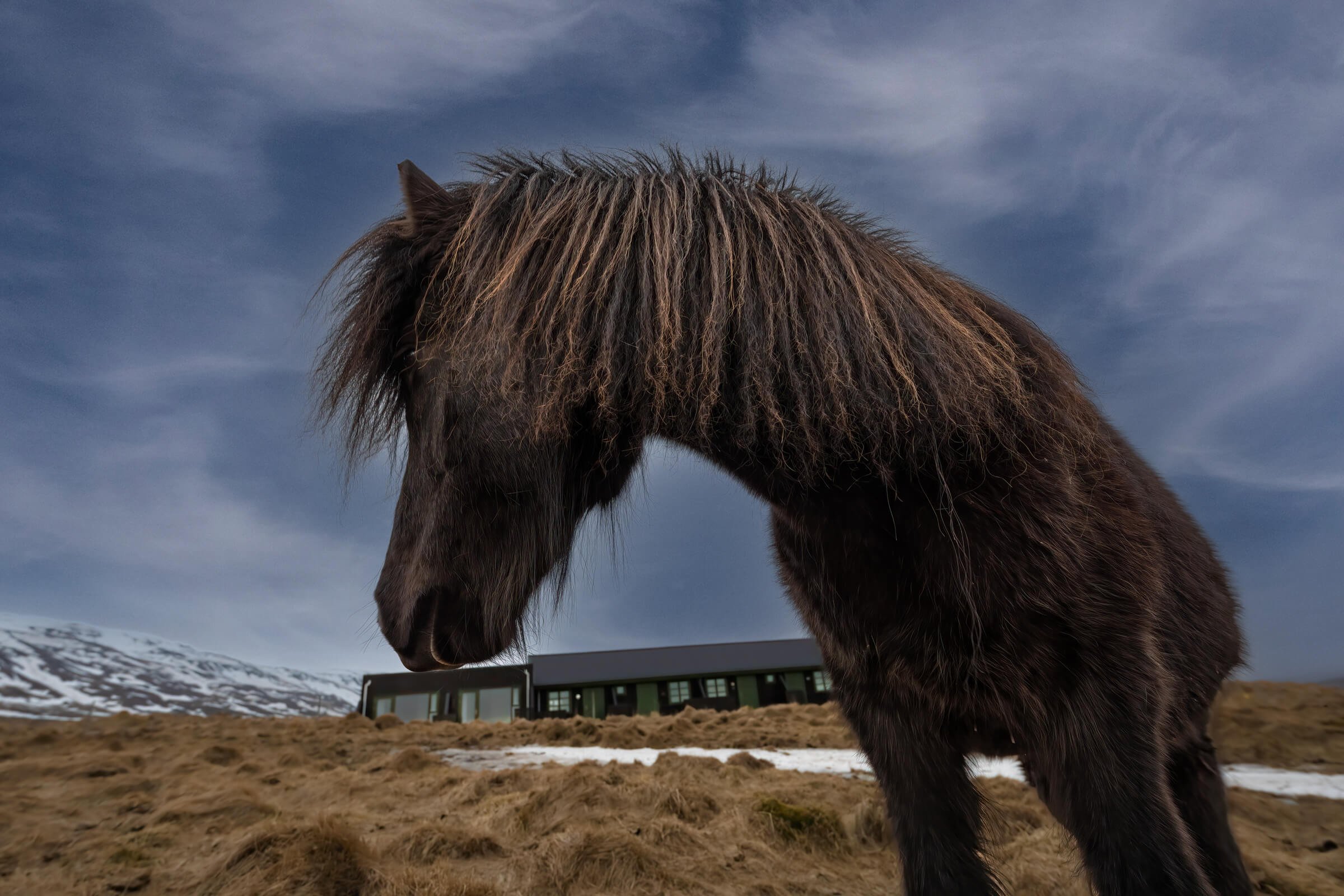220328-ICELAND 3-164.jpg