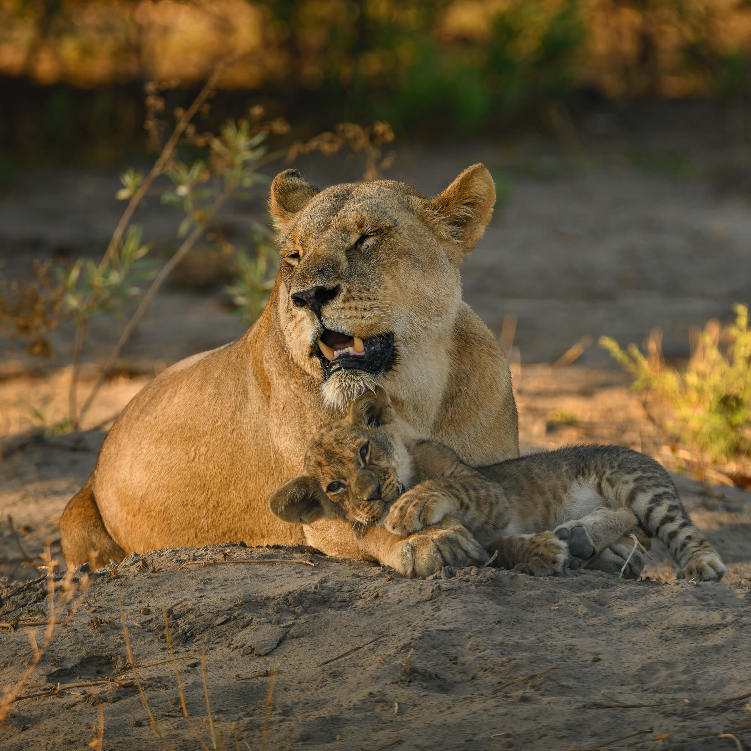 191114-BOTSWANA-903-2.jpg