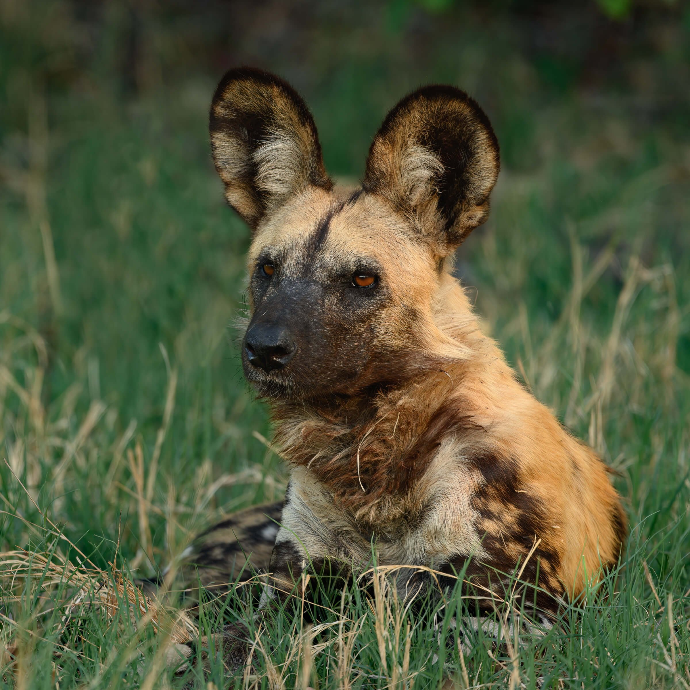 191114-BOTSWANA-352.jpg