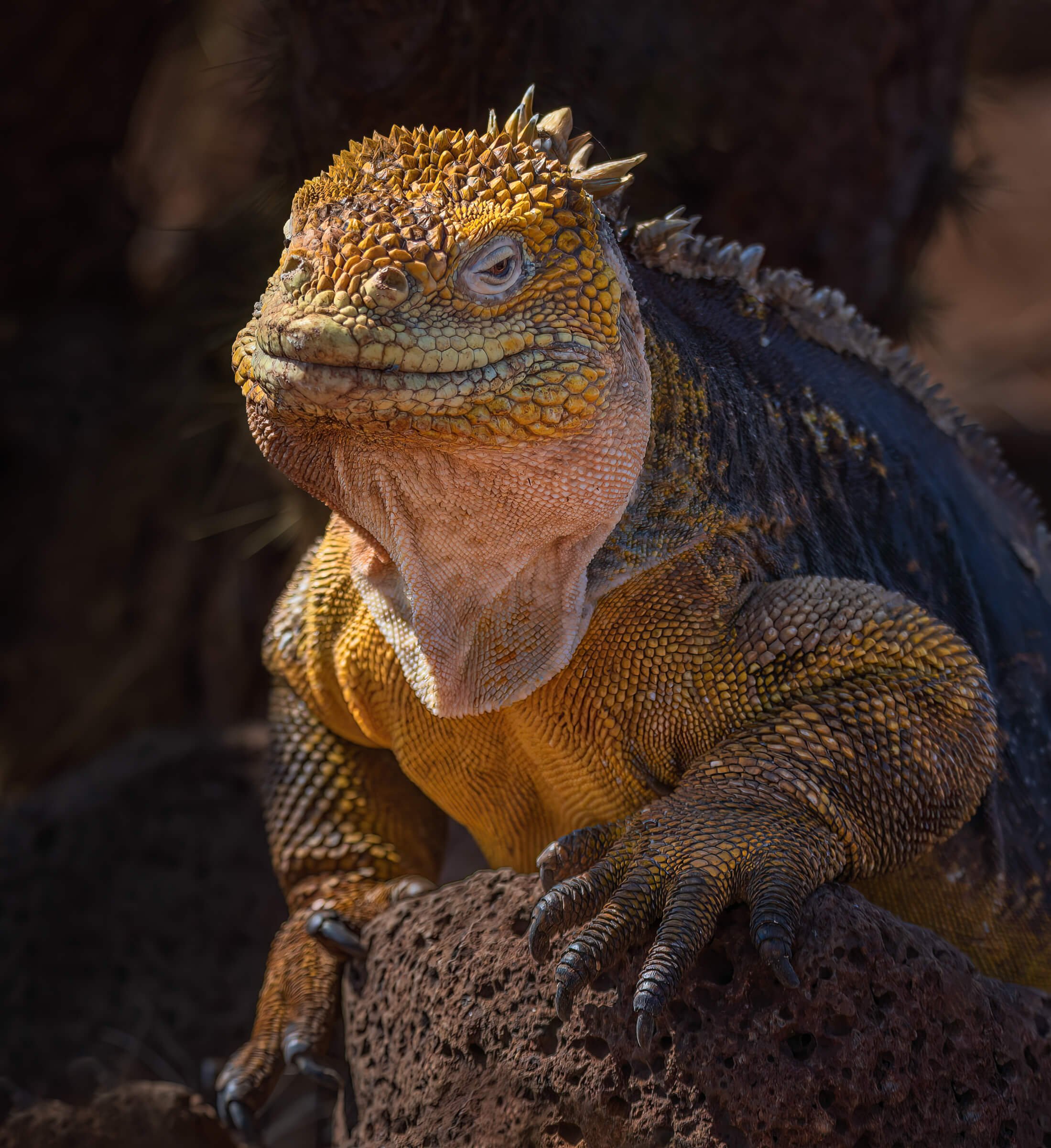 190702-GALAPAGOS-408.jpg