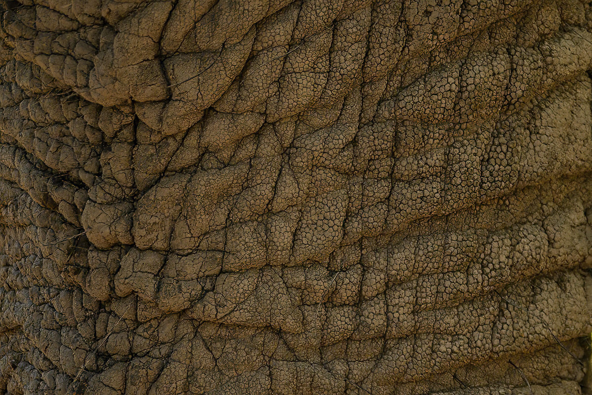 191114-BOTSWANA-499.jpg