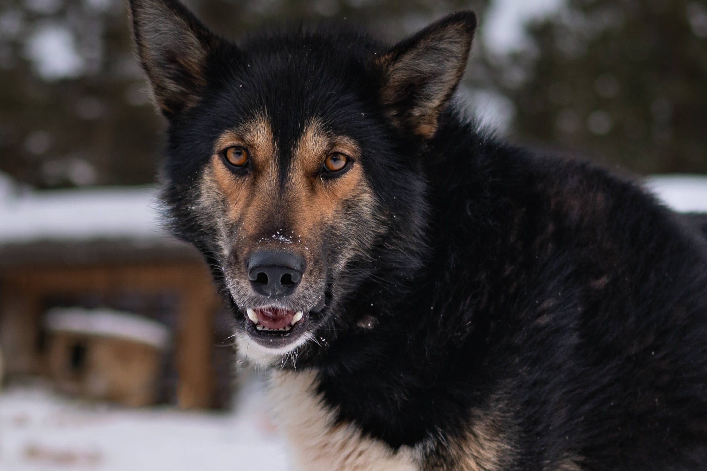 220206-KARASJOK-127.jpg