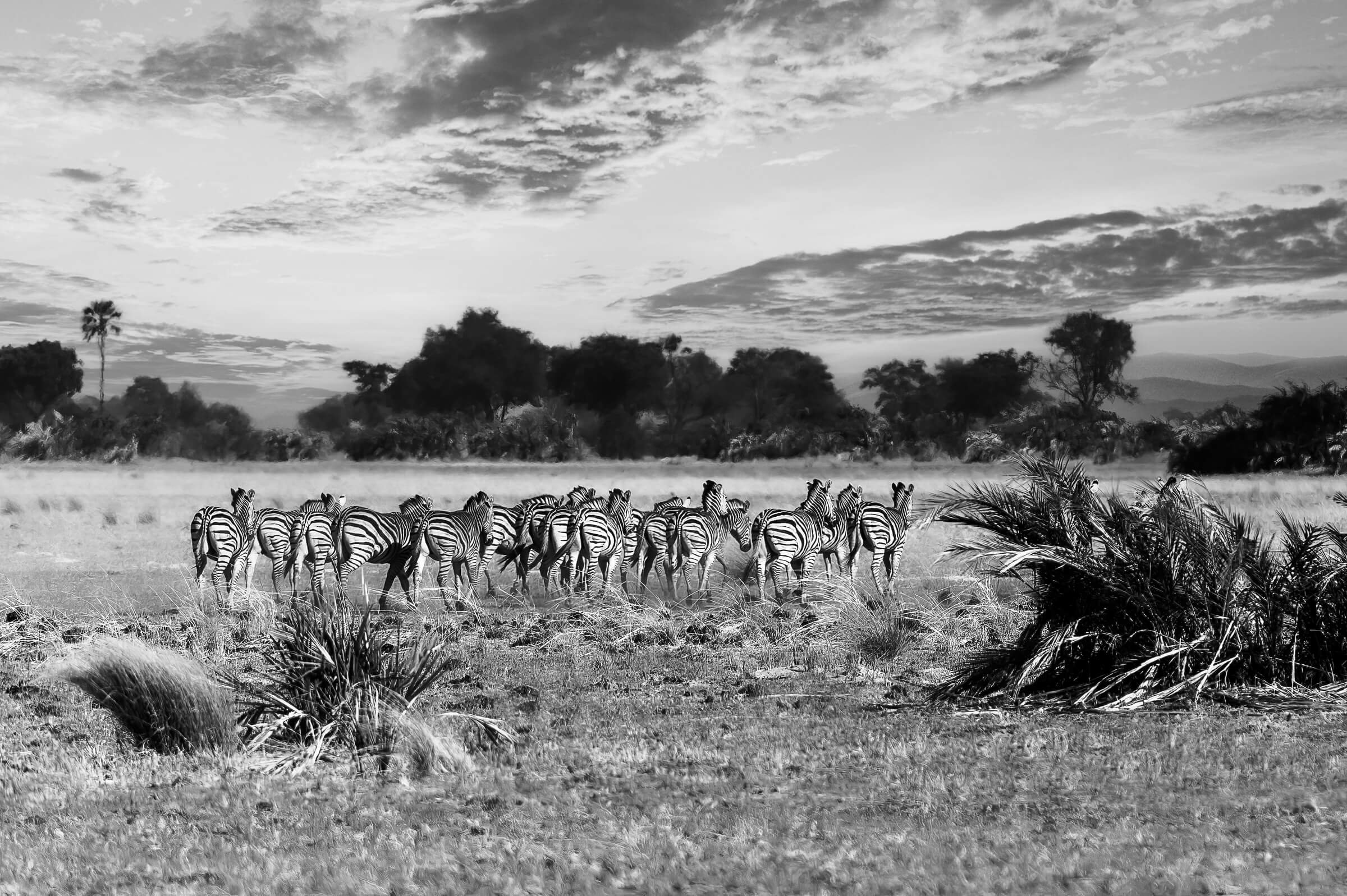 191114-BOTSWANA-59.jpg