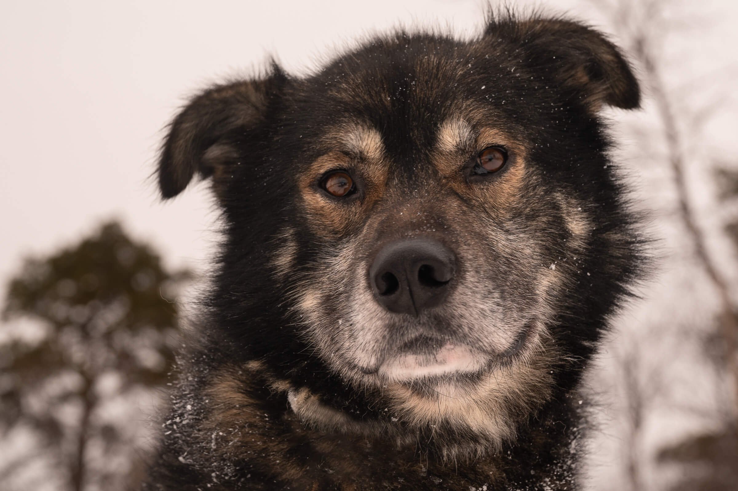 220206-KARASJOK-261.jpg