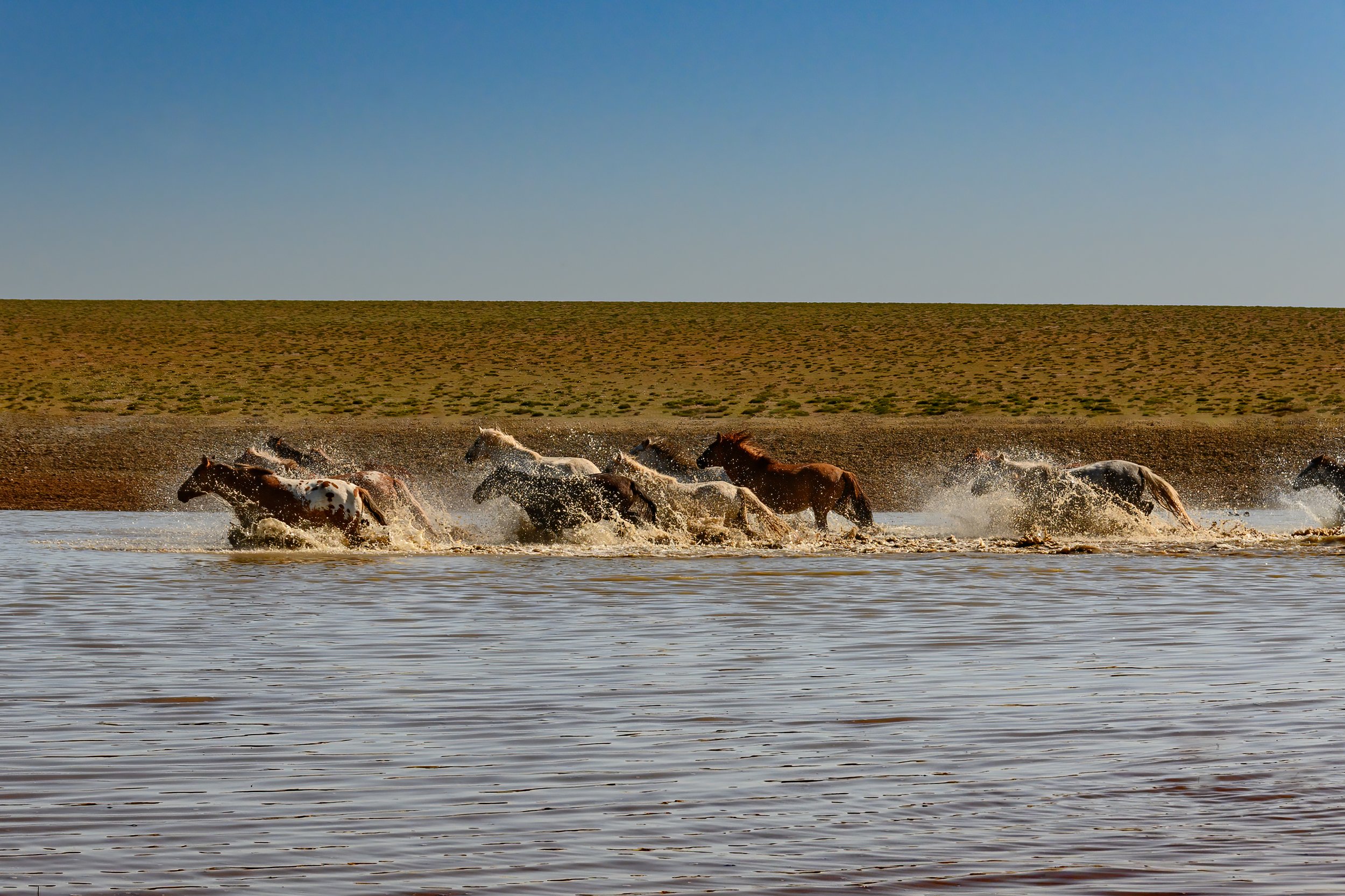 190922-MONGOLIA-2-150.jpg
