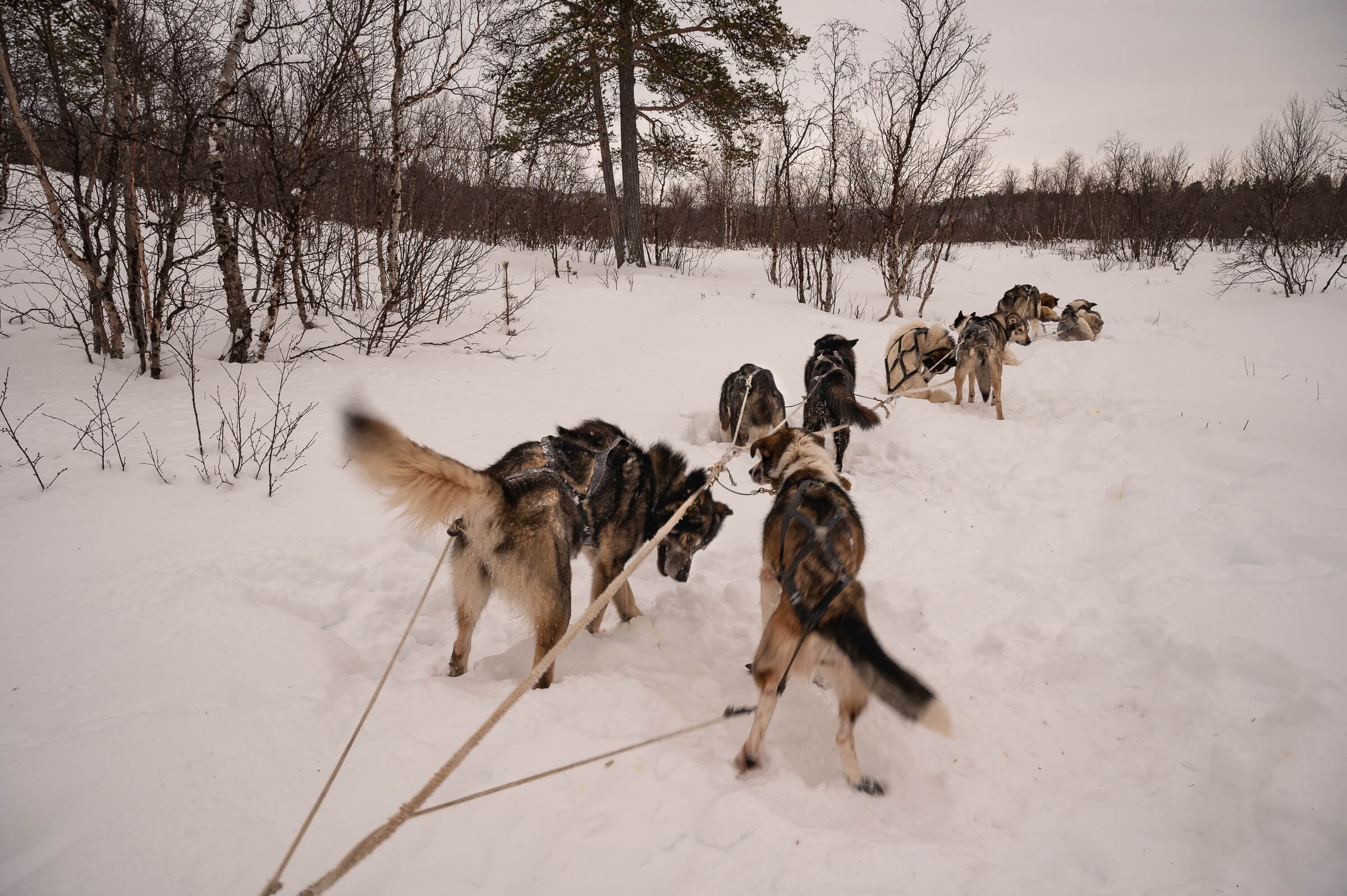 220206-KARASJOK-247.jpg