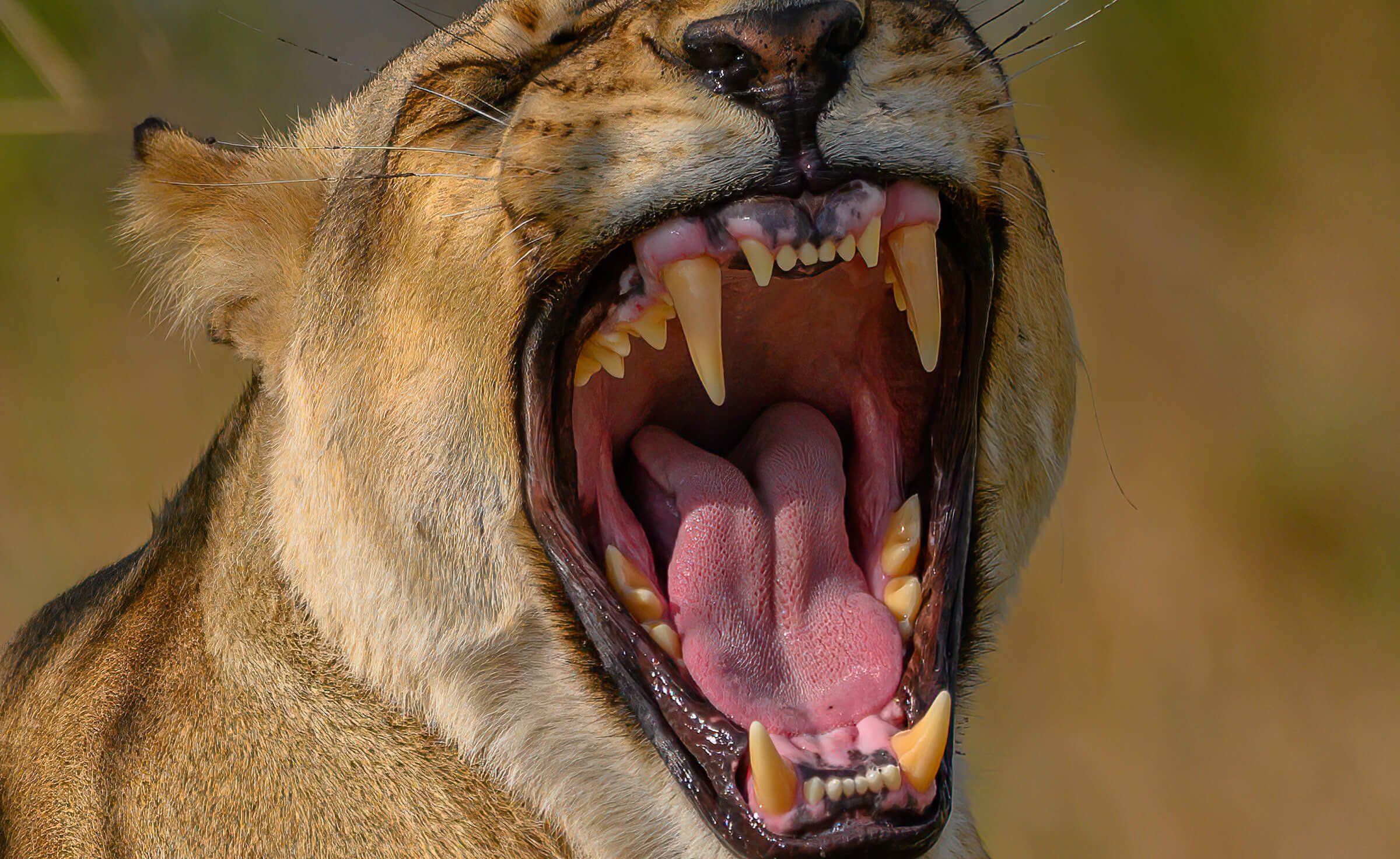191114-BOTSWANA-1022.jpg