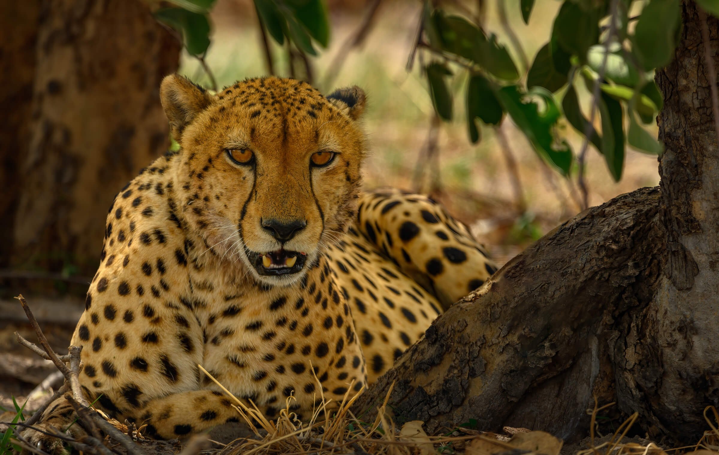 191114-BOTSWANA-340.jpg