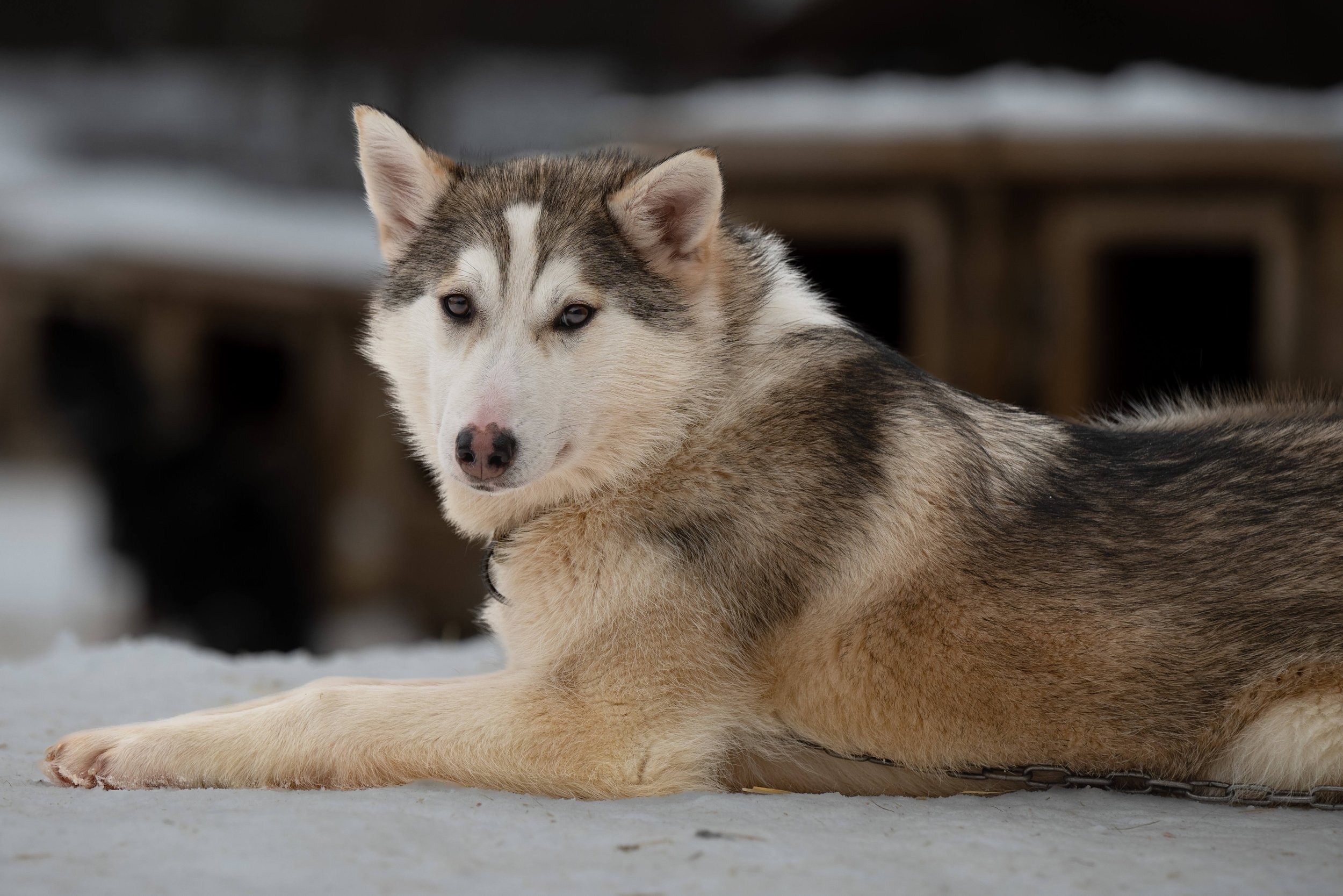 220206-KARASJOK-196.jpg