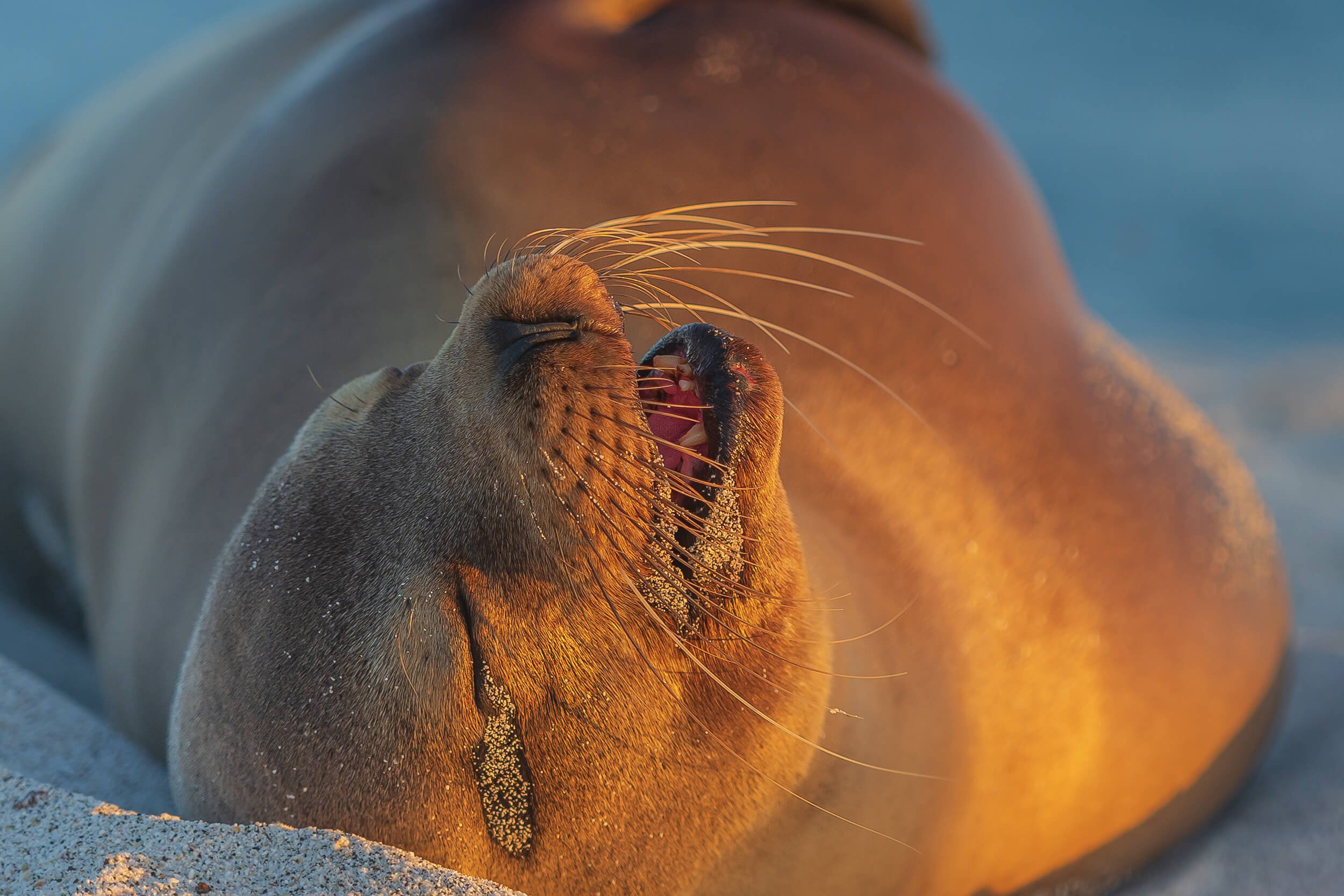 190702-GALAPAGOS-314 copy.jpg