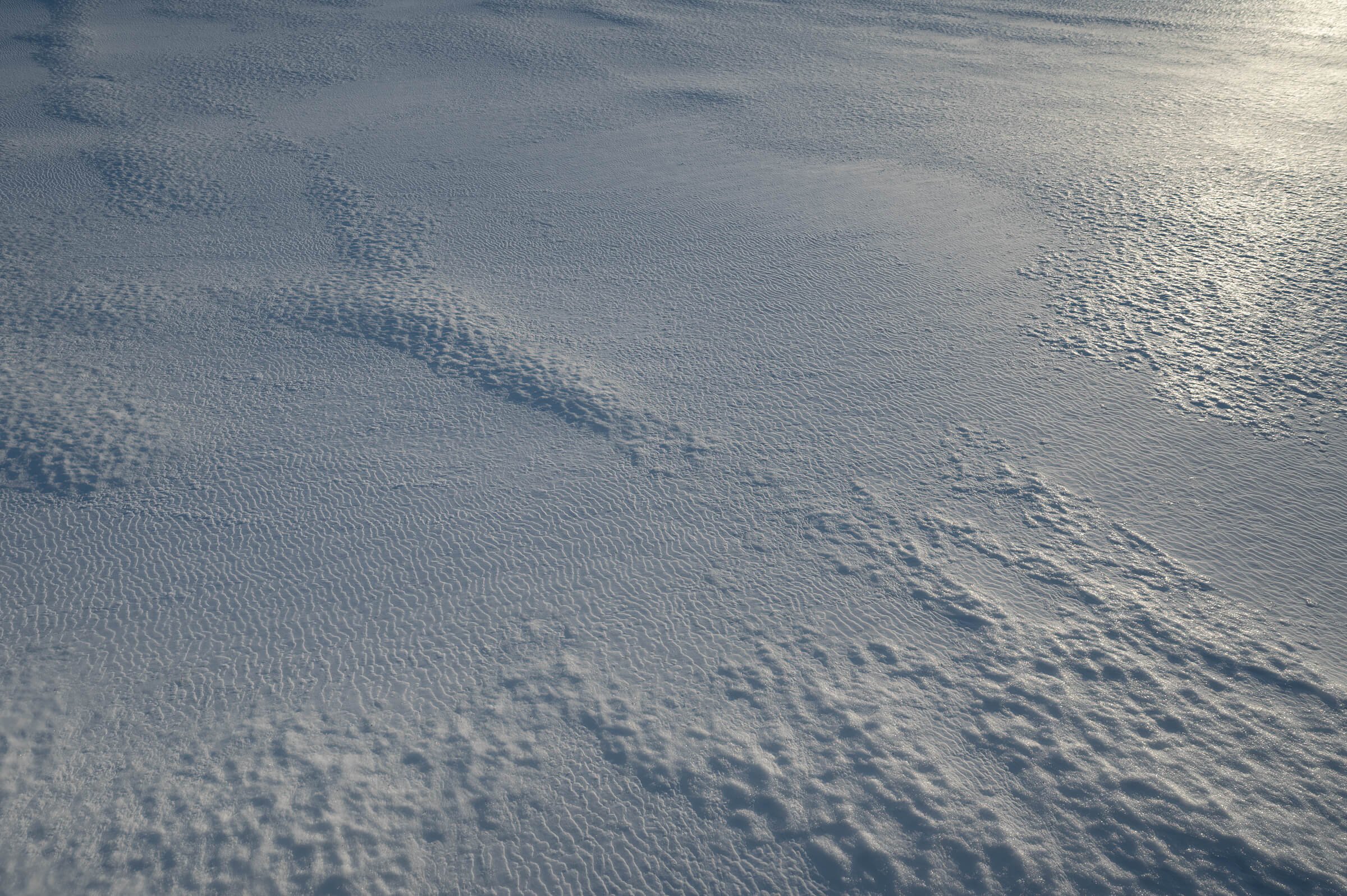 DSC_9206.jpg