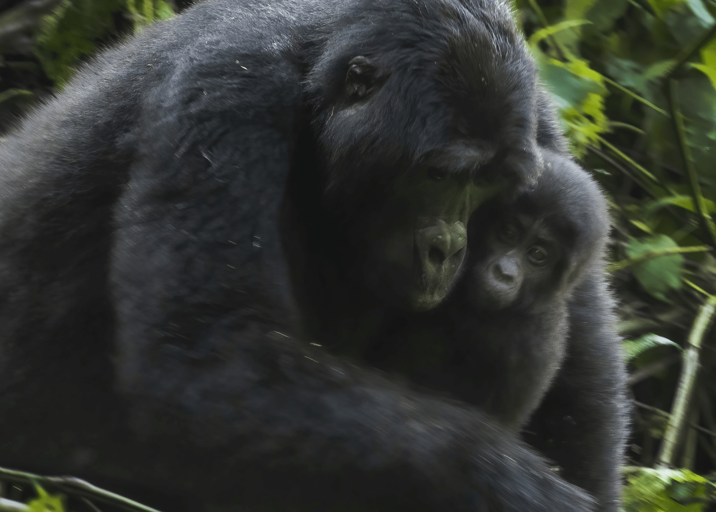 190603-UGANDA-186.png